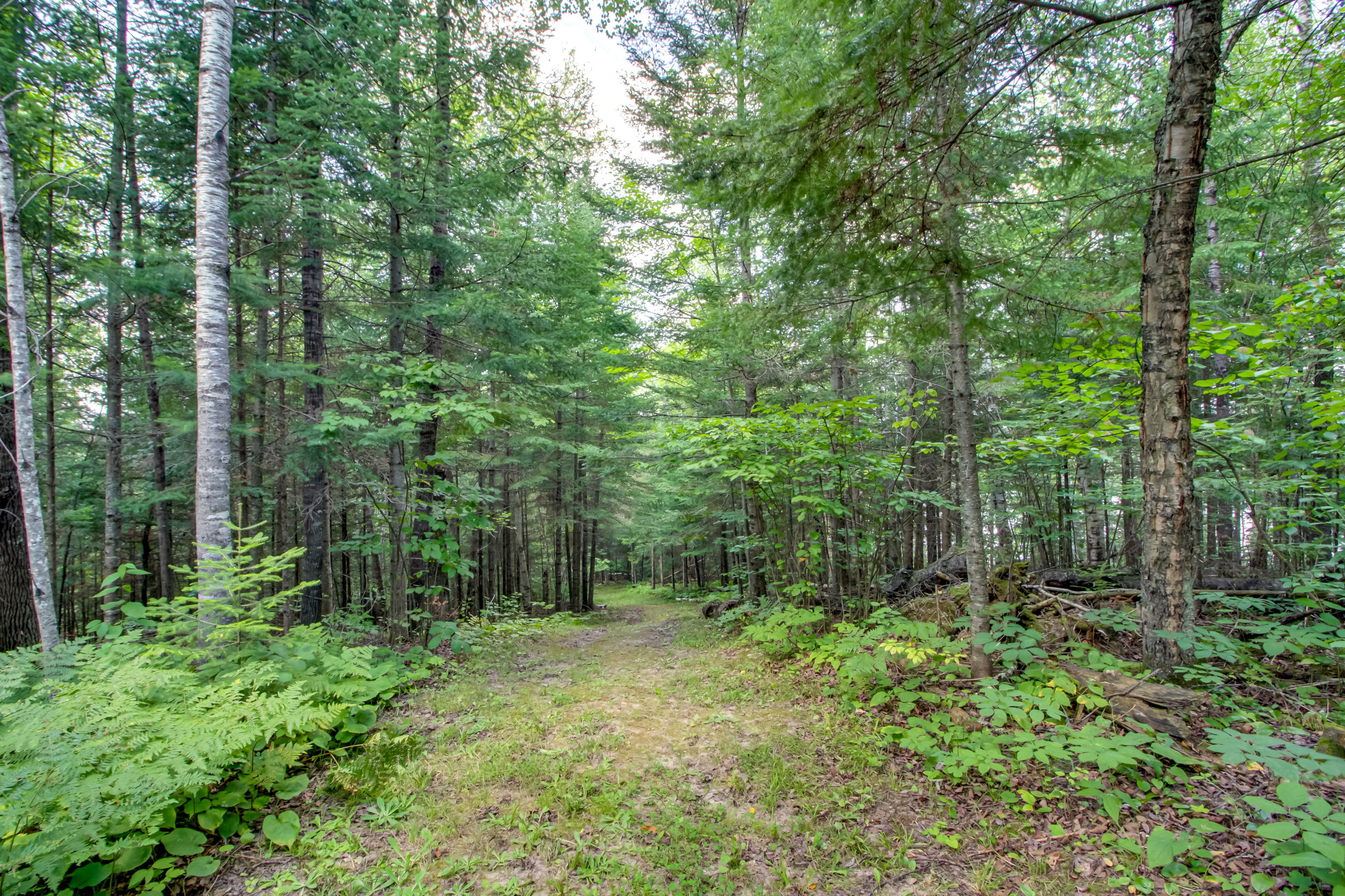 Trail to South Fork Lake