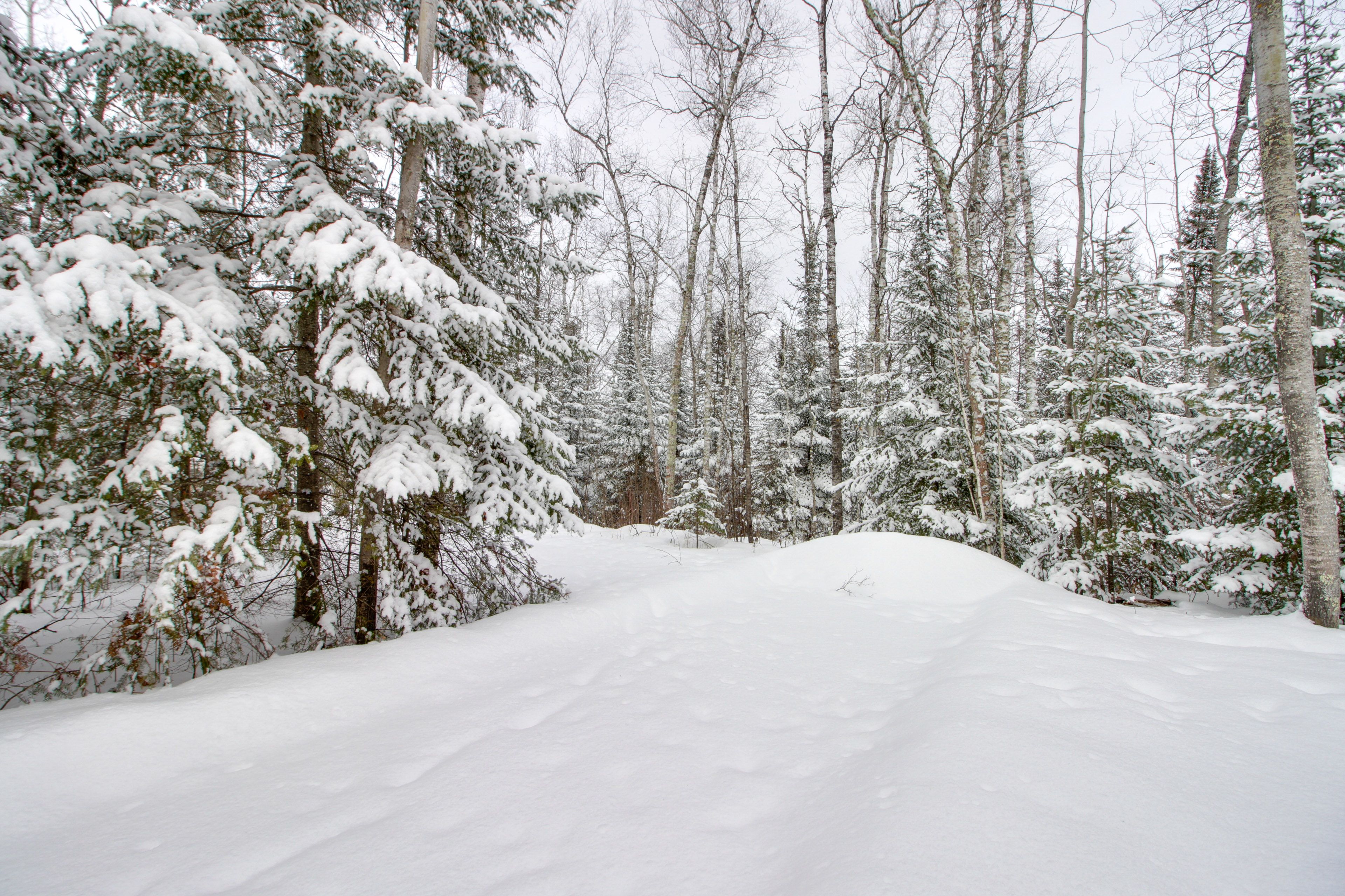Trail to South Fork Lake | Ice Fishing On-Site