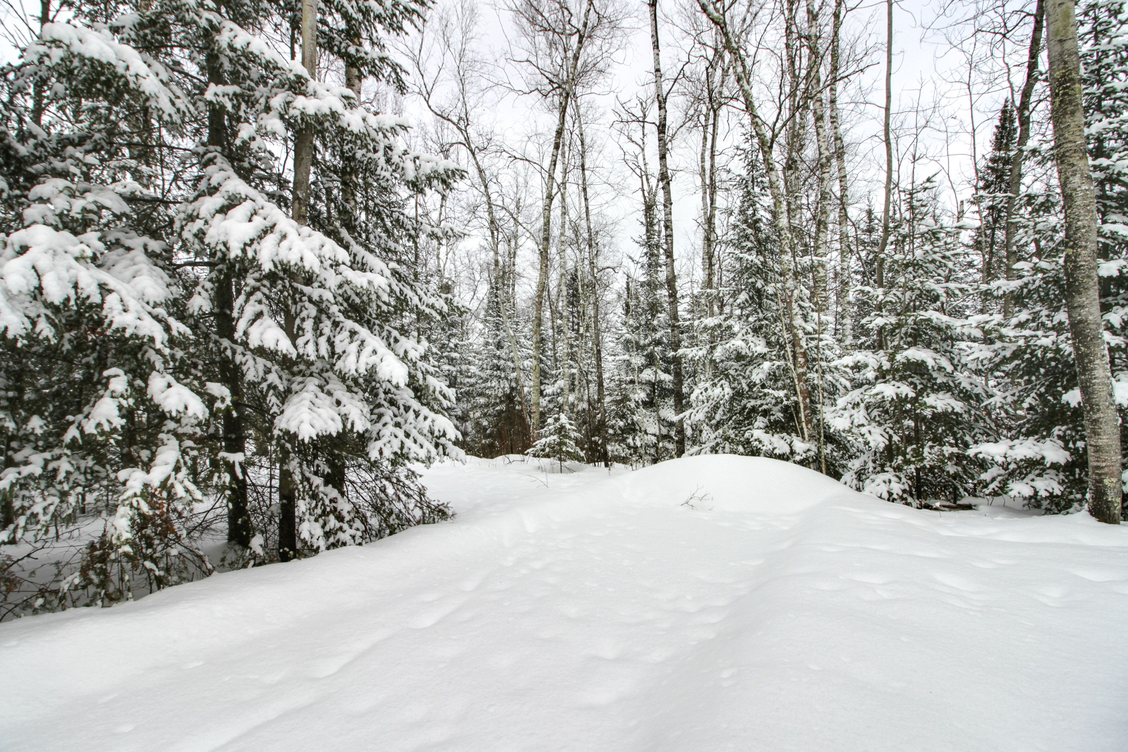 Trail to South Fork Lake | On-Site Ice Fishing