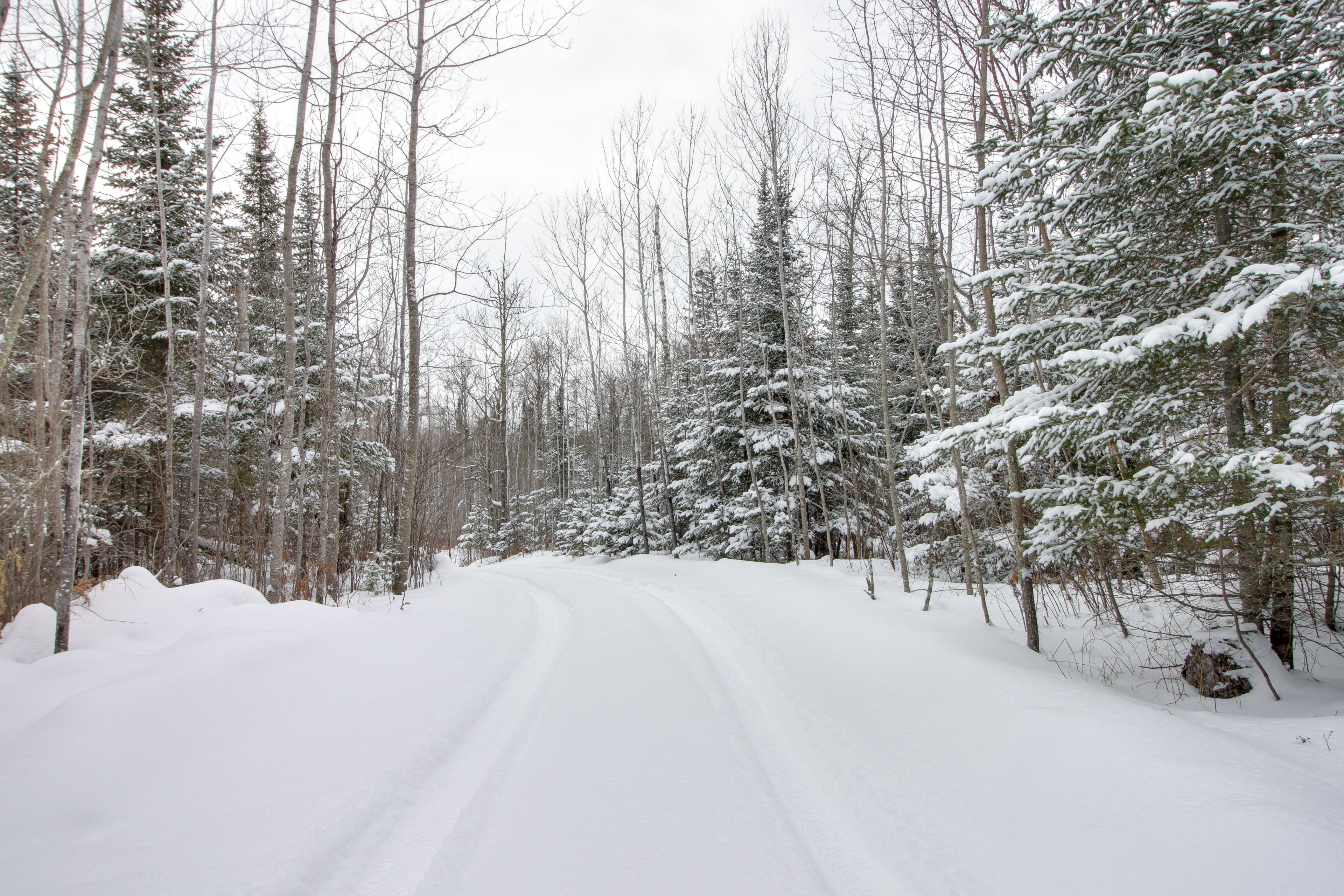 Winter Driveway