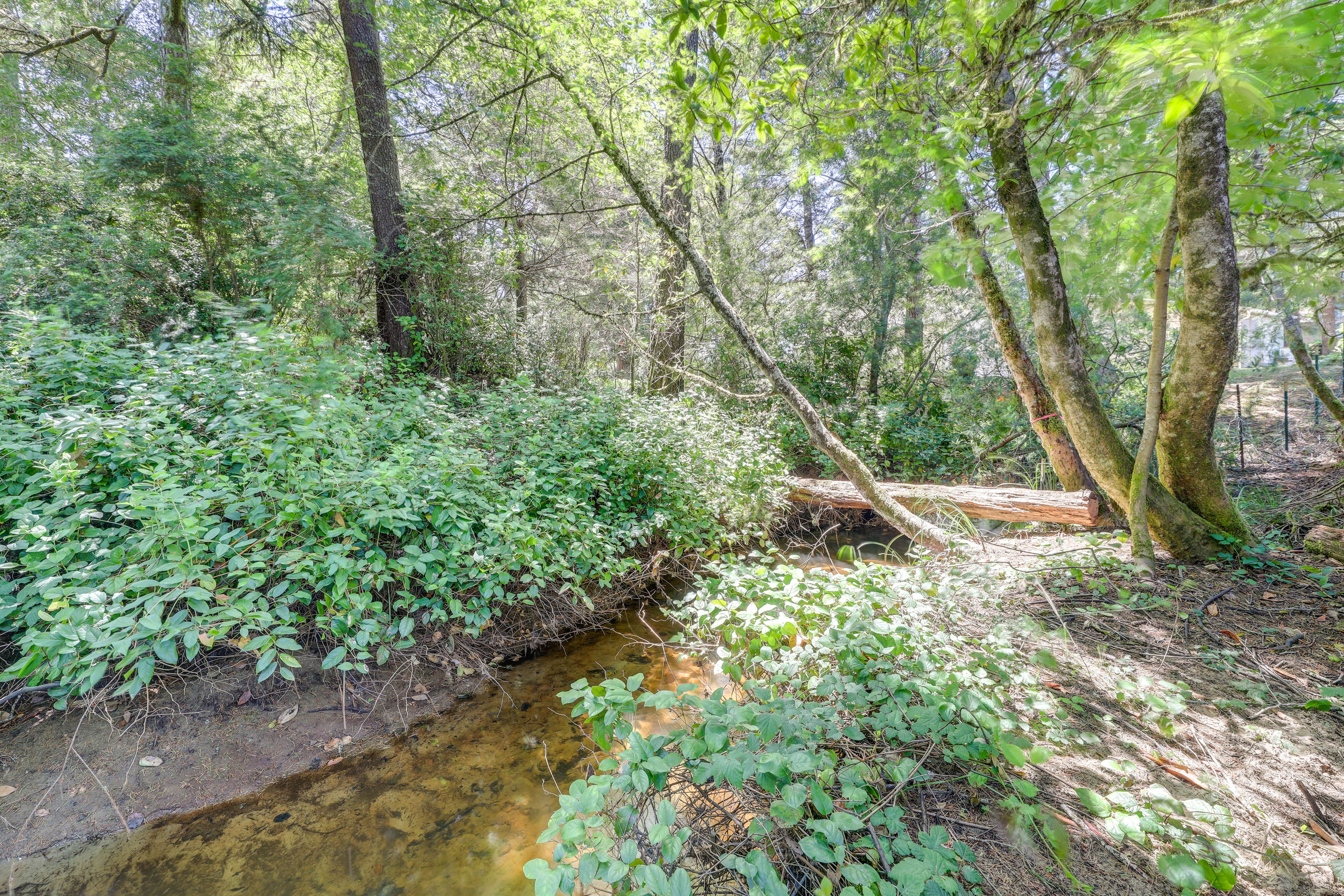 On-Site River