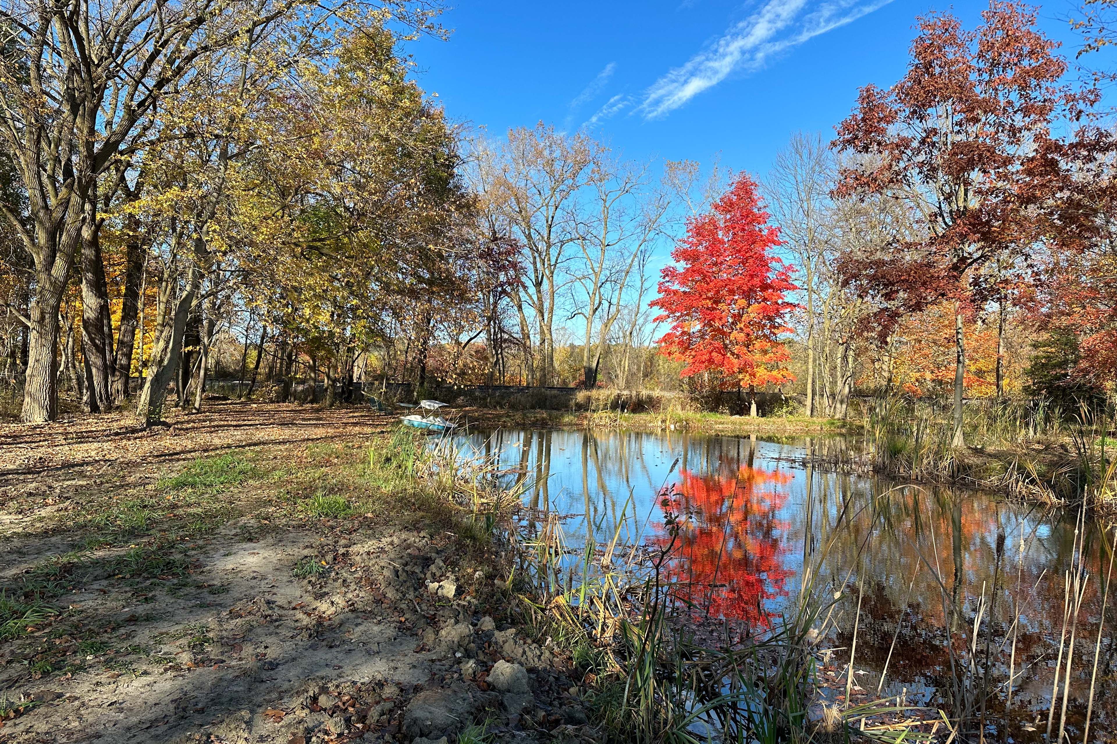 Private Yard | Pond On-Site | Pedal Boat & Canoe Provided