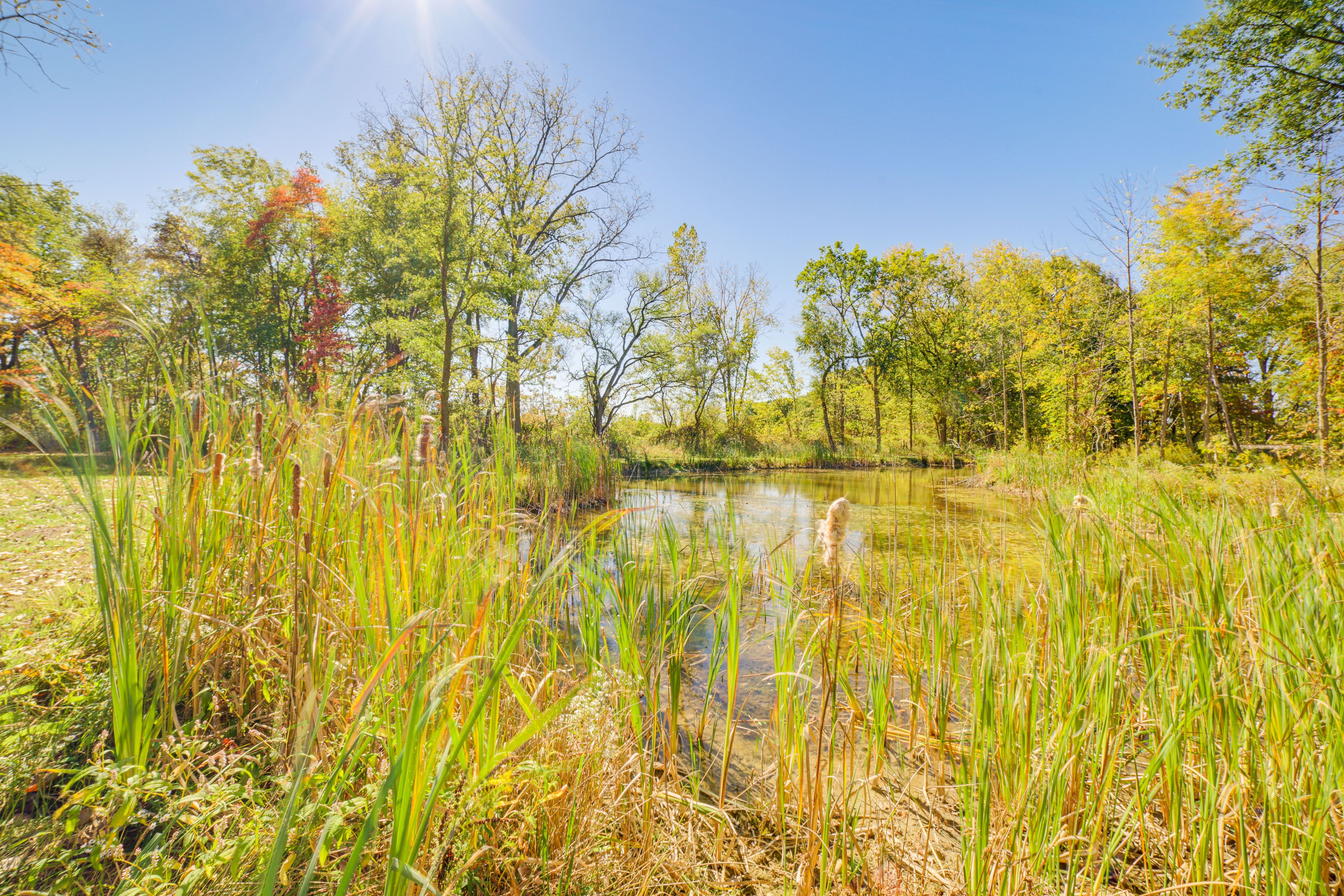 Private Yard | Pond On-Site | Pedal Boat & Canoe Provided