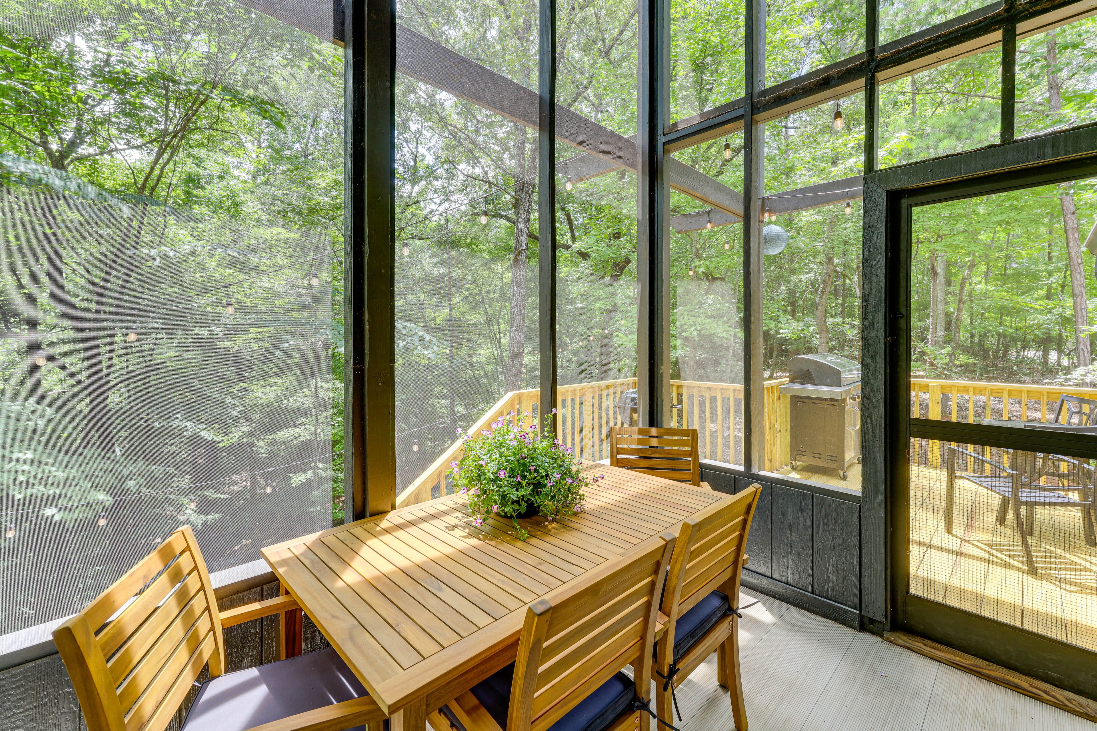 Screened Porch | Forest Views