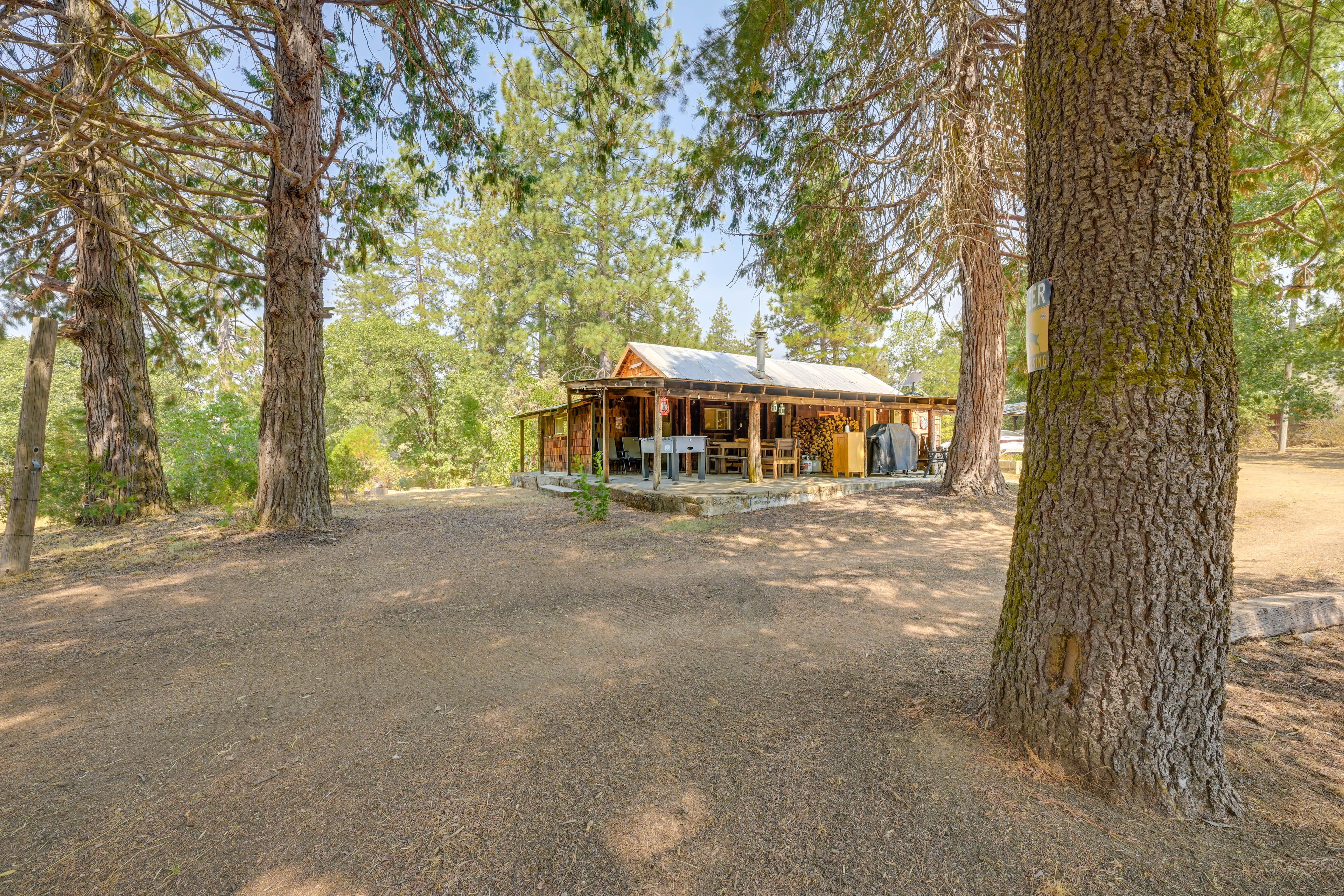Outdoor Space | Exterior