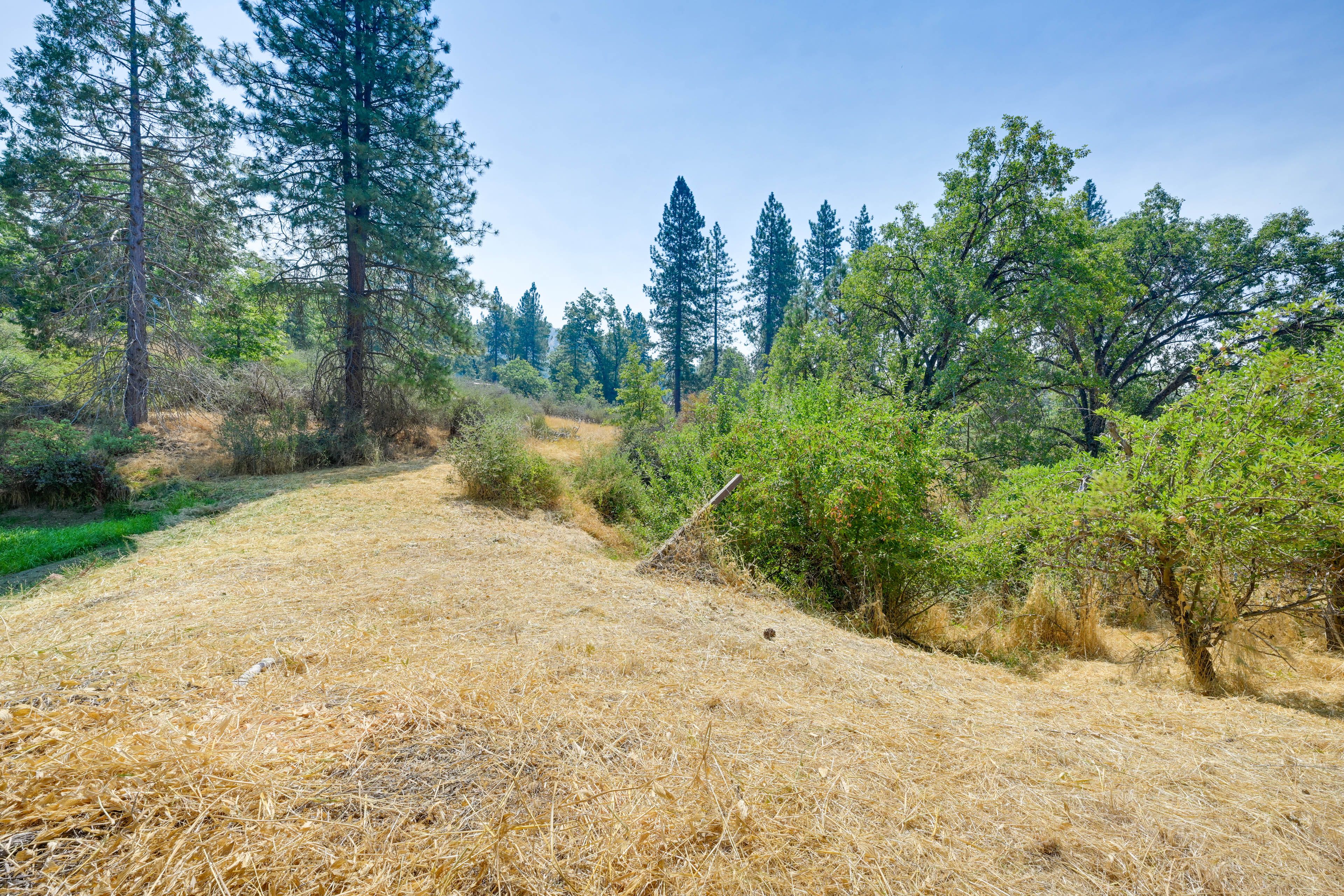 Outdoor Space | Walking Path | Scenic Views