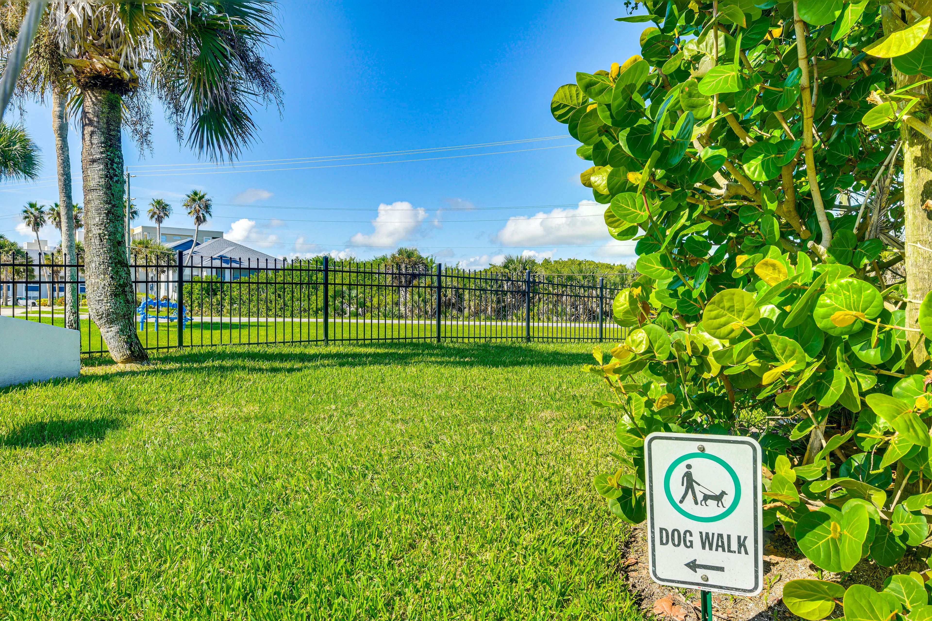 Ocean Club South | Dog Walk Area