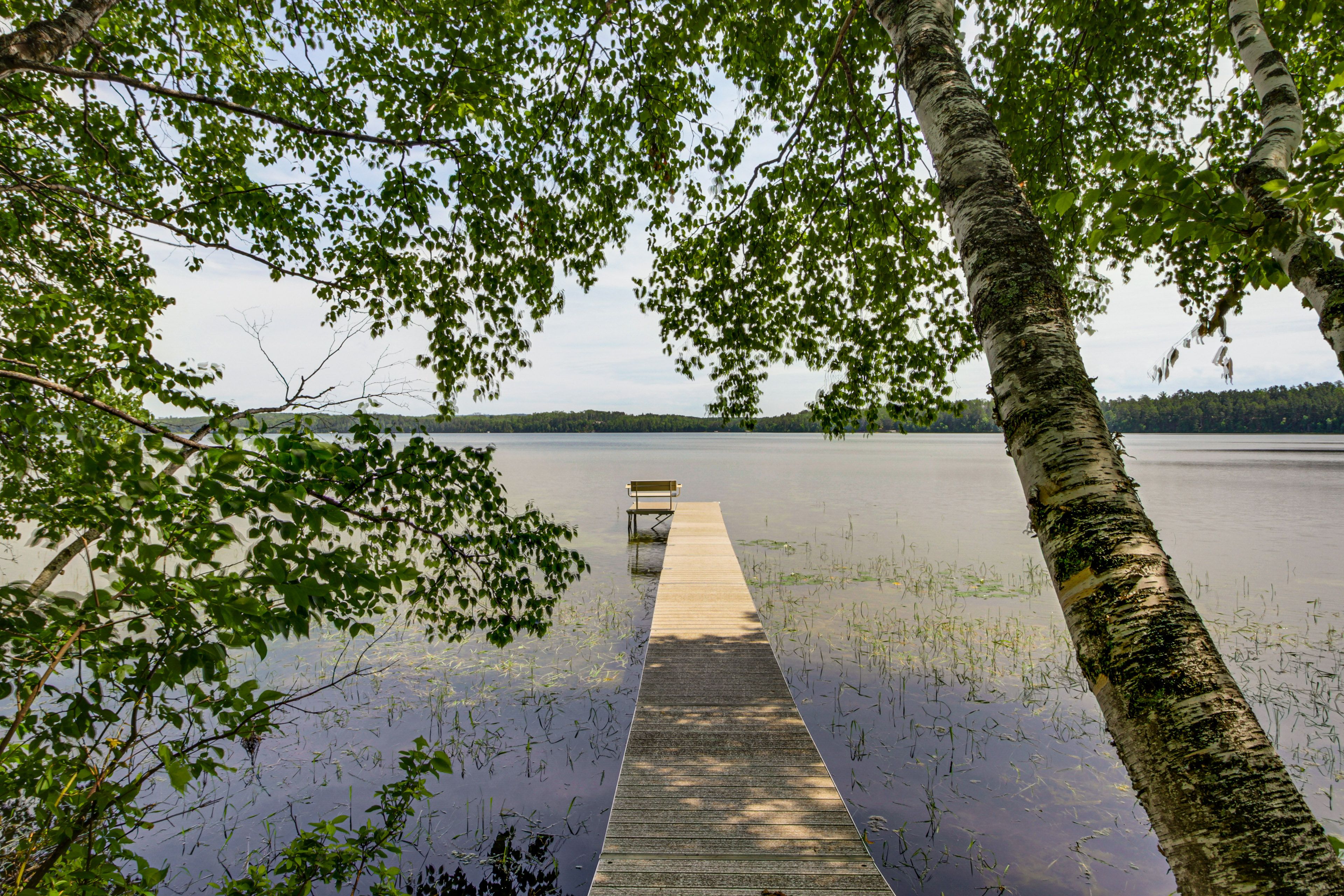 Dock