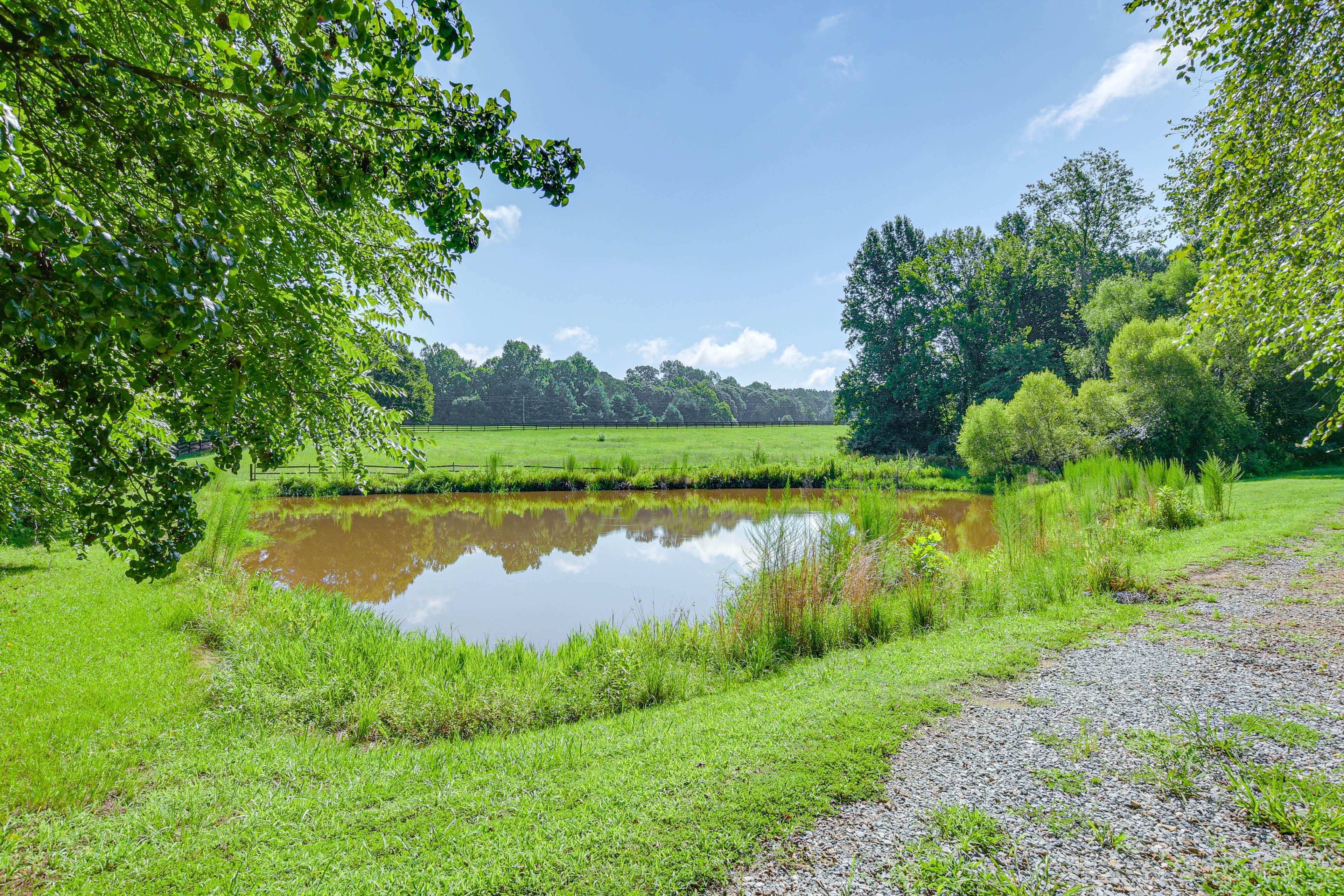 Pond Nearby