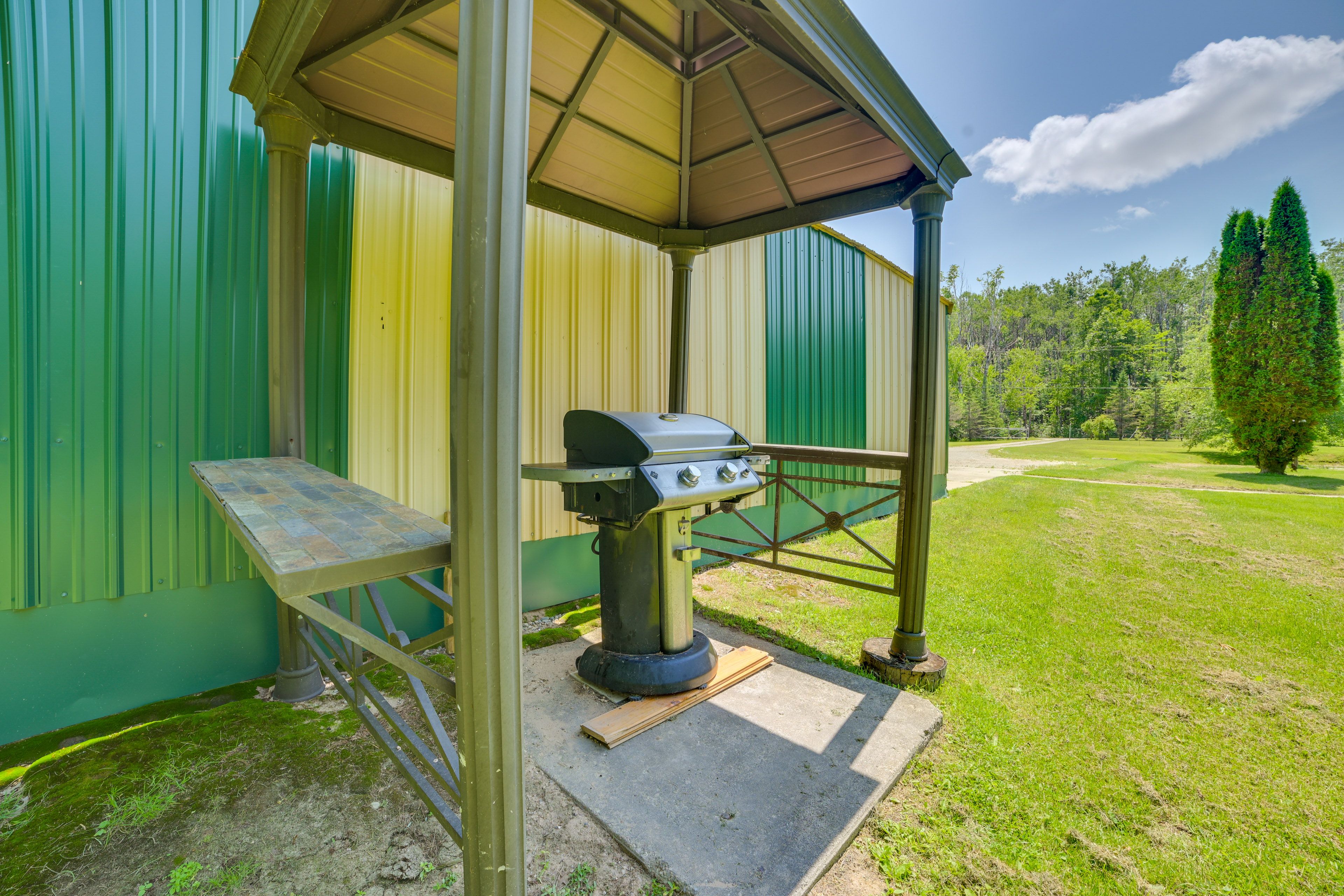 Gas Grill
