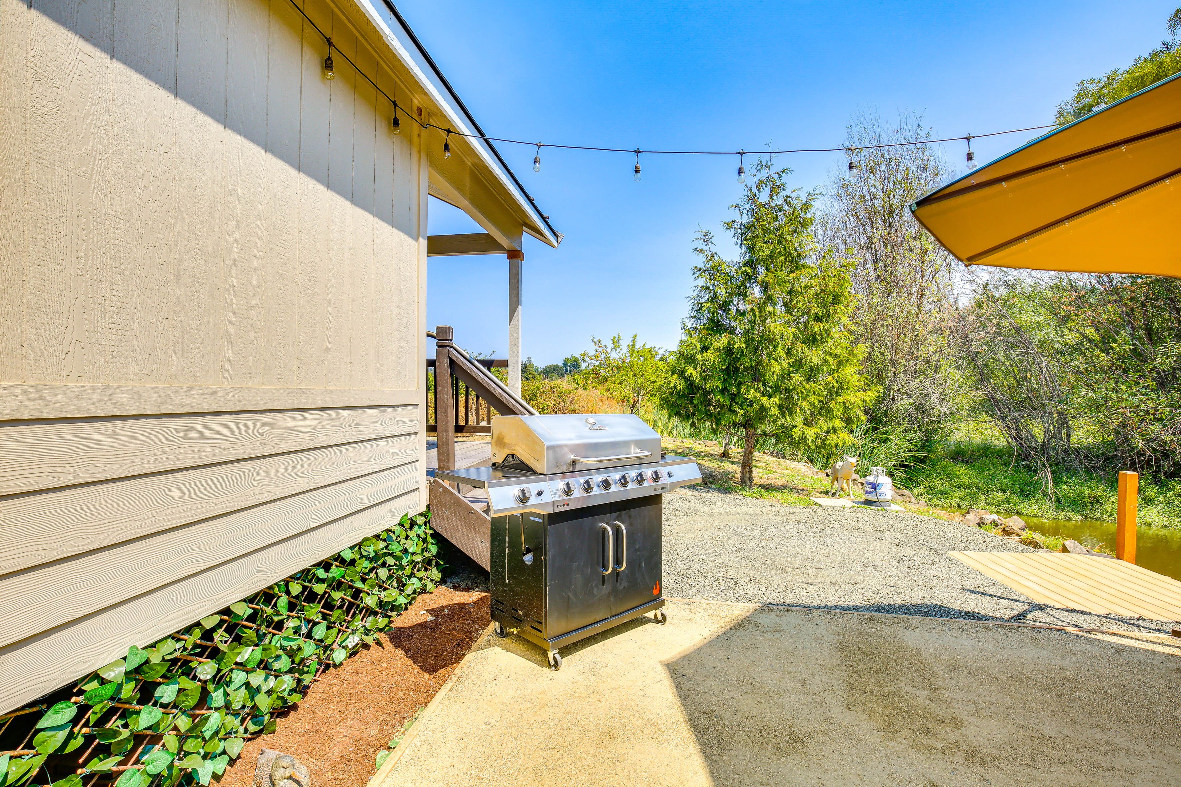 Gas Grill (Propane Provided)