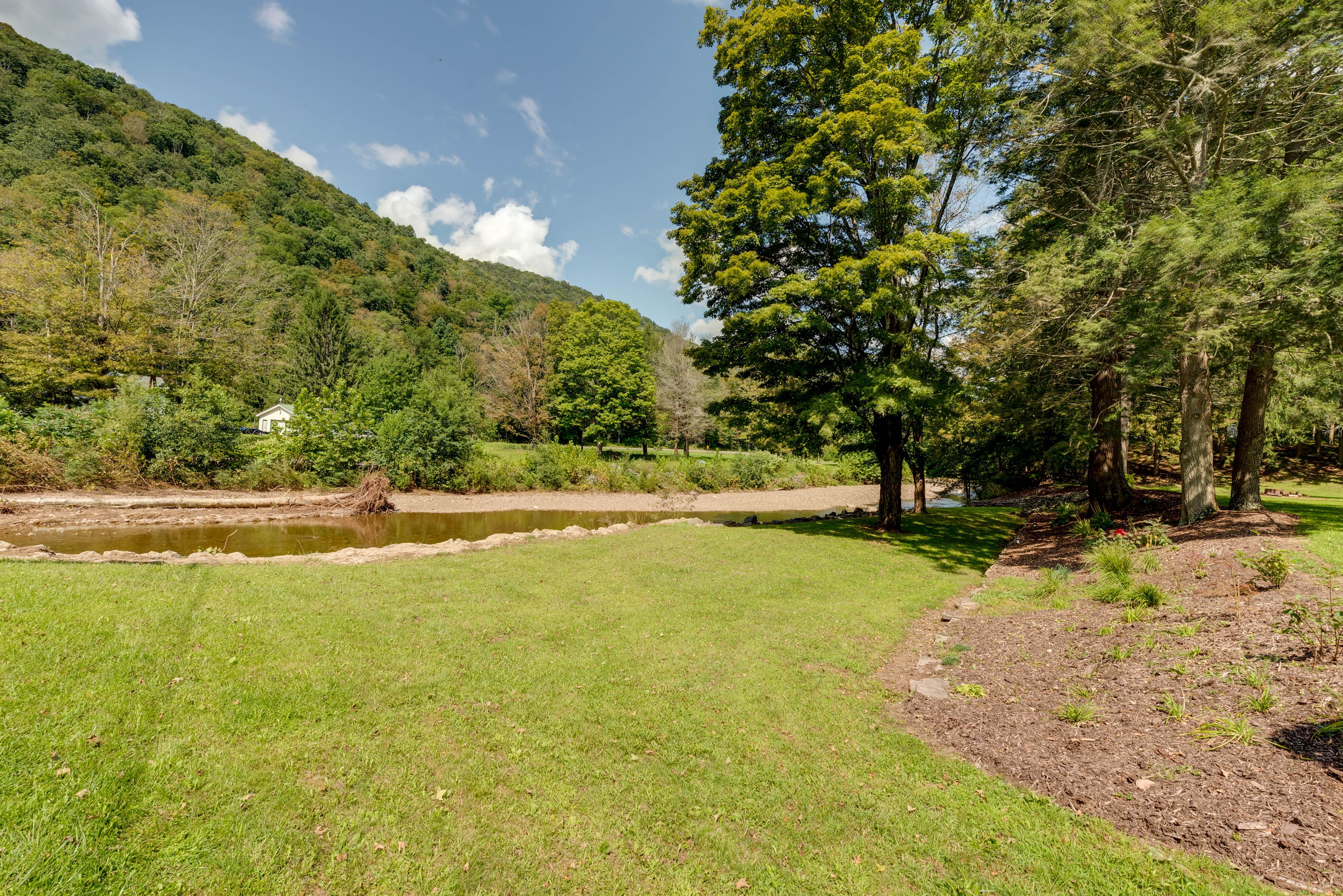 Loyalsock Creek On-Site