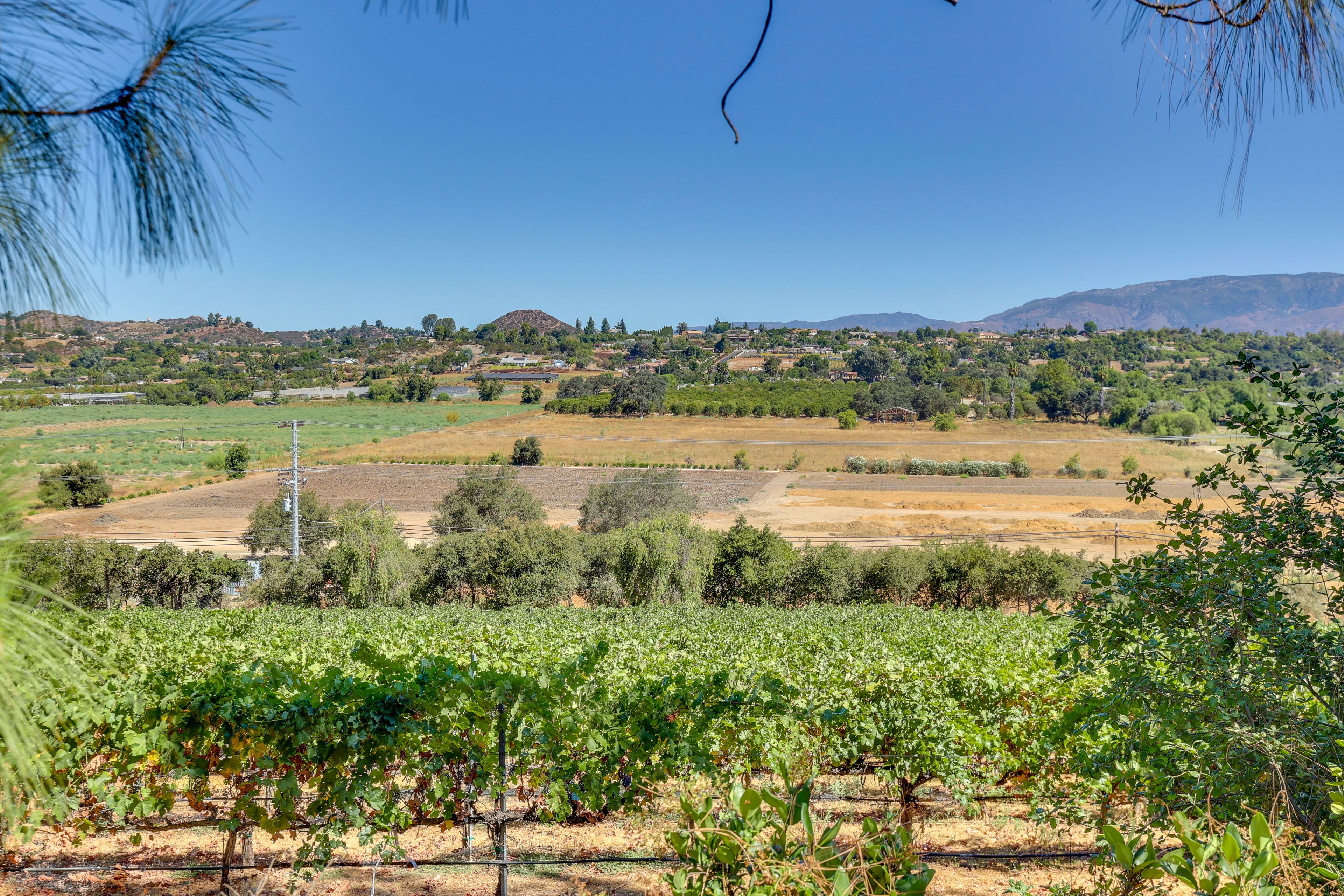 Hill Top Winery | Above Tasting Room