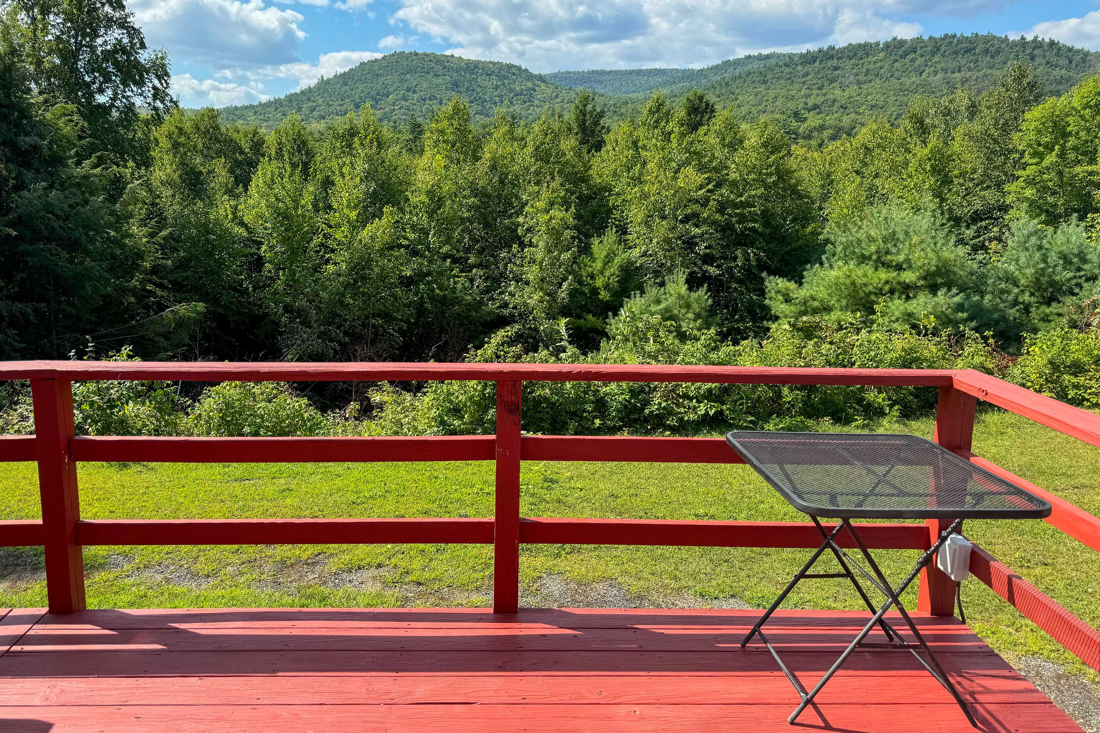 Back Deck | Gas Grill