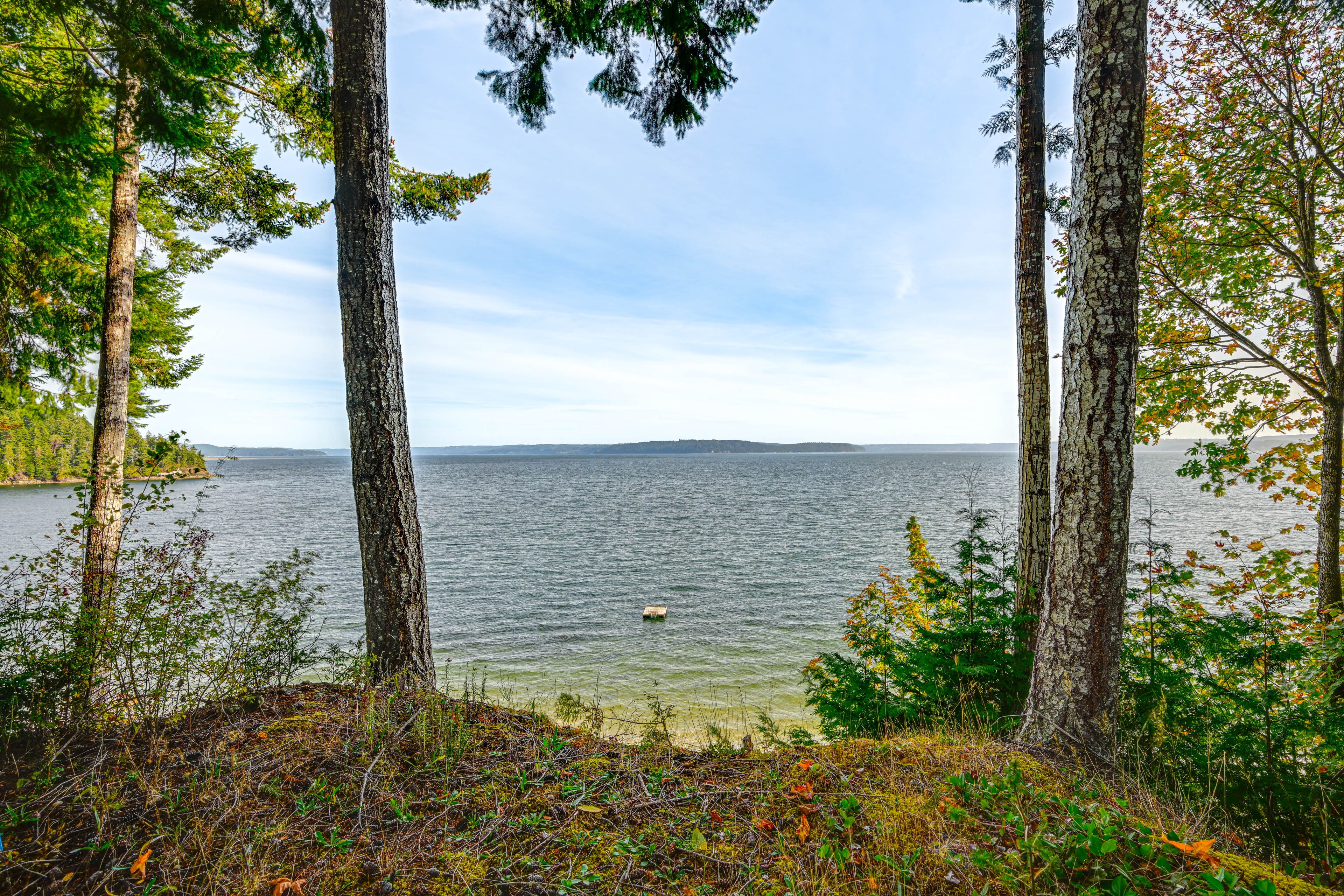 Hood Canal Views