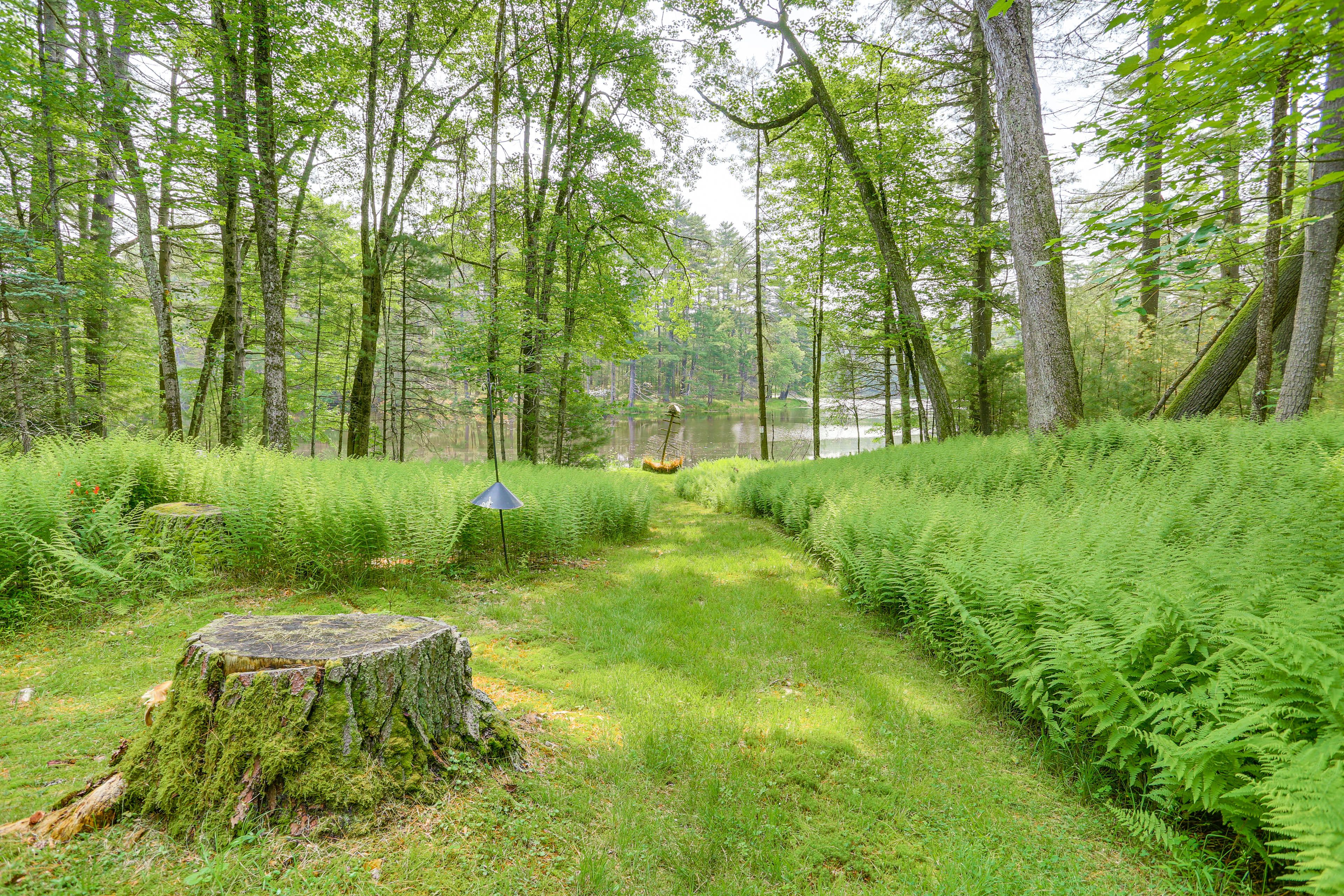 Private Yard