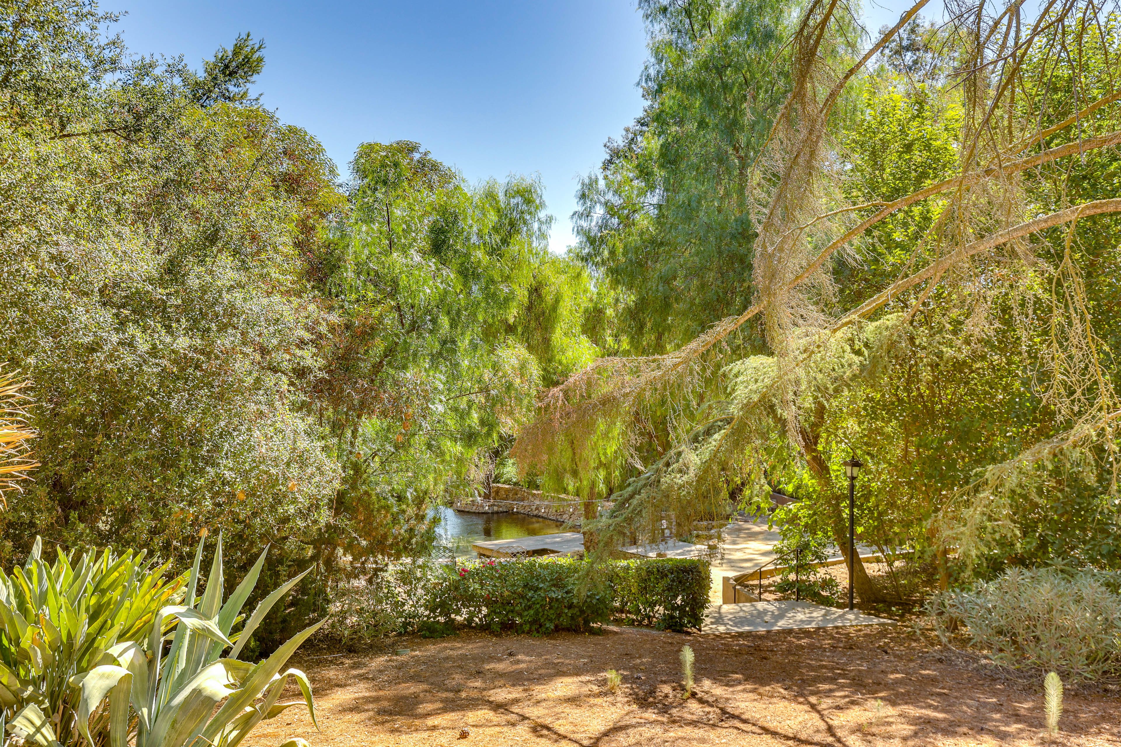 Hill Top Winery | Shared Outdoor Space