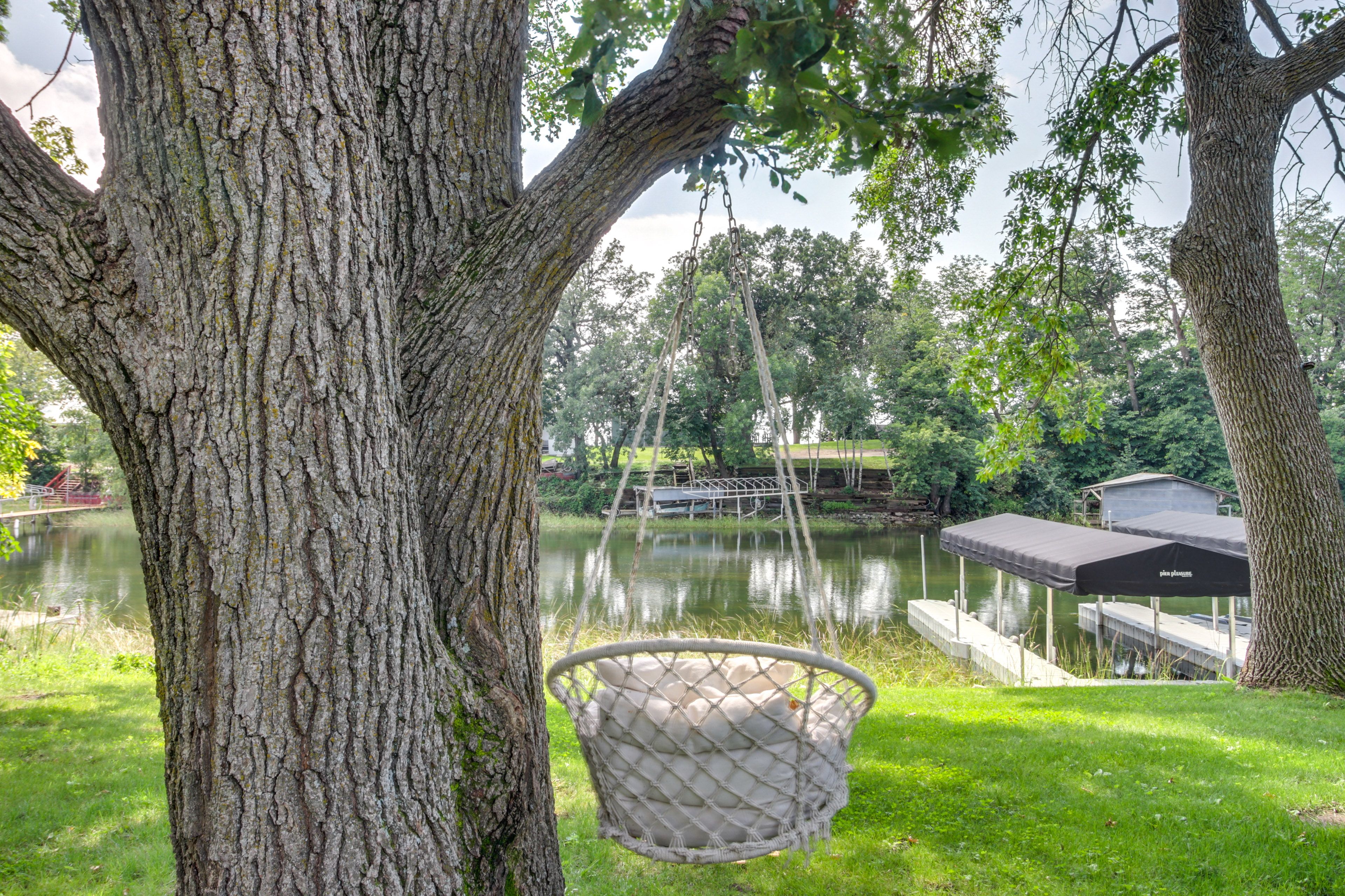 Tree Swing