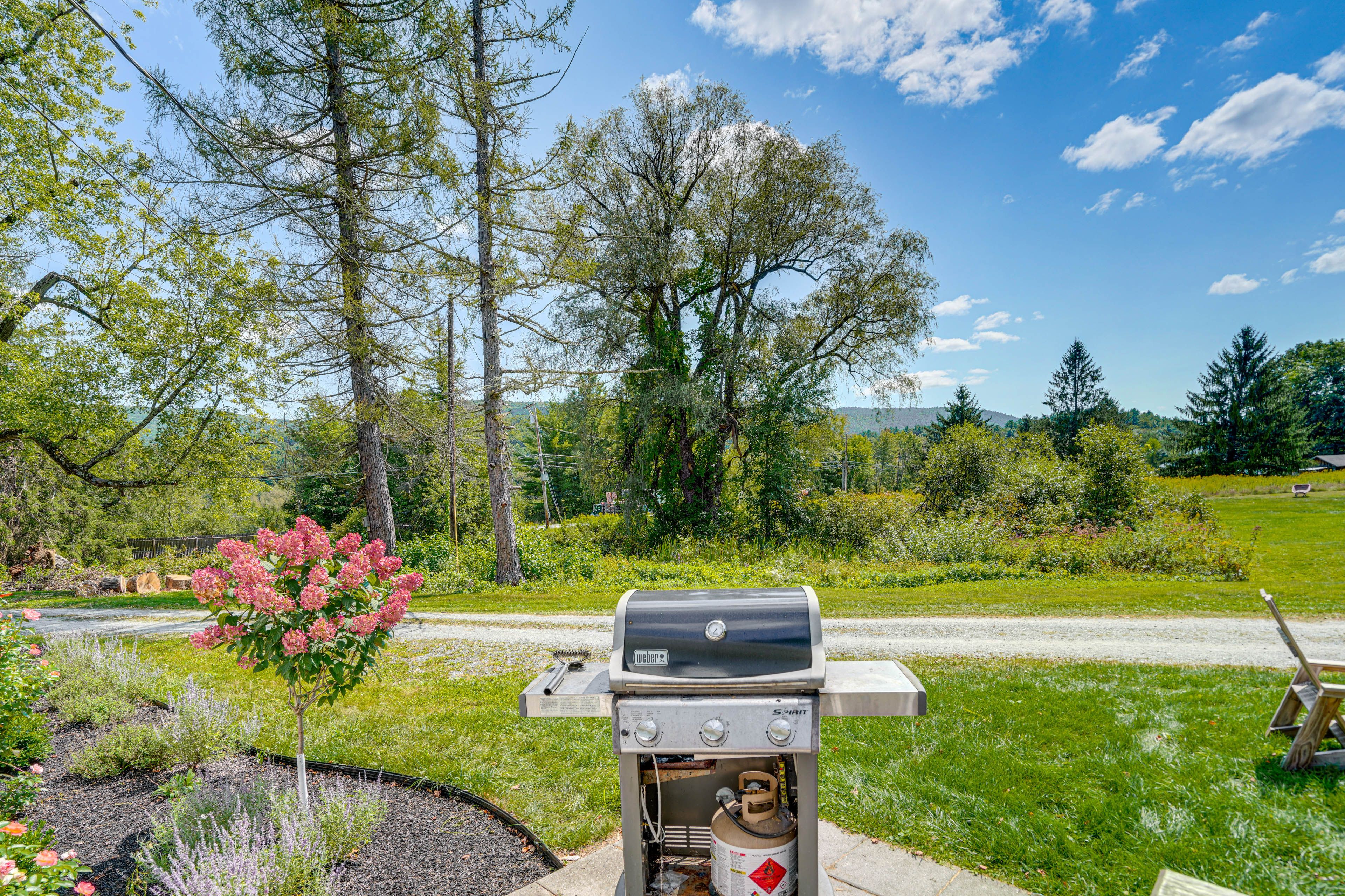 Gas Grill
