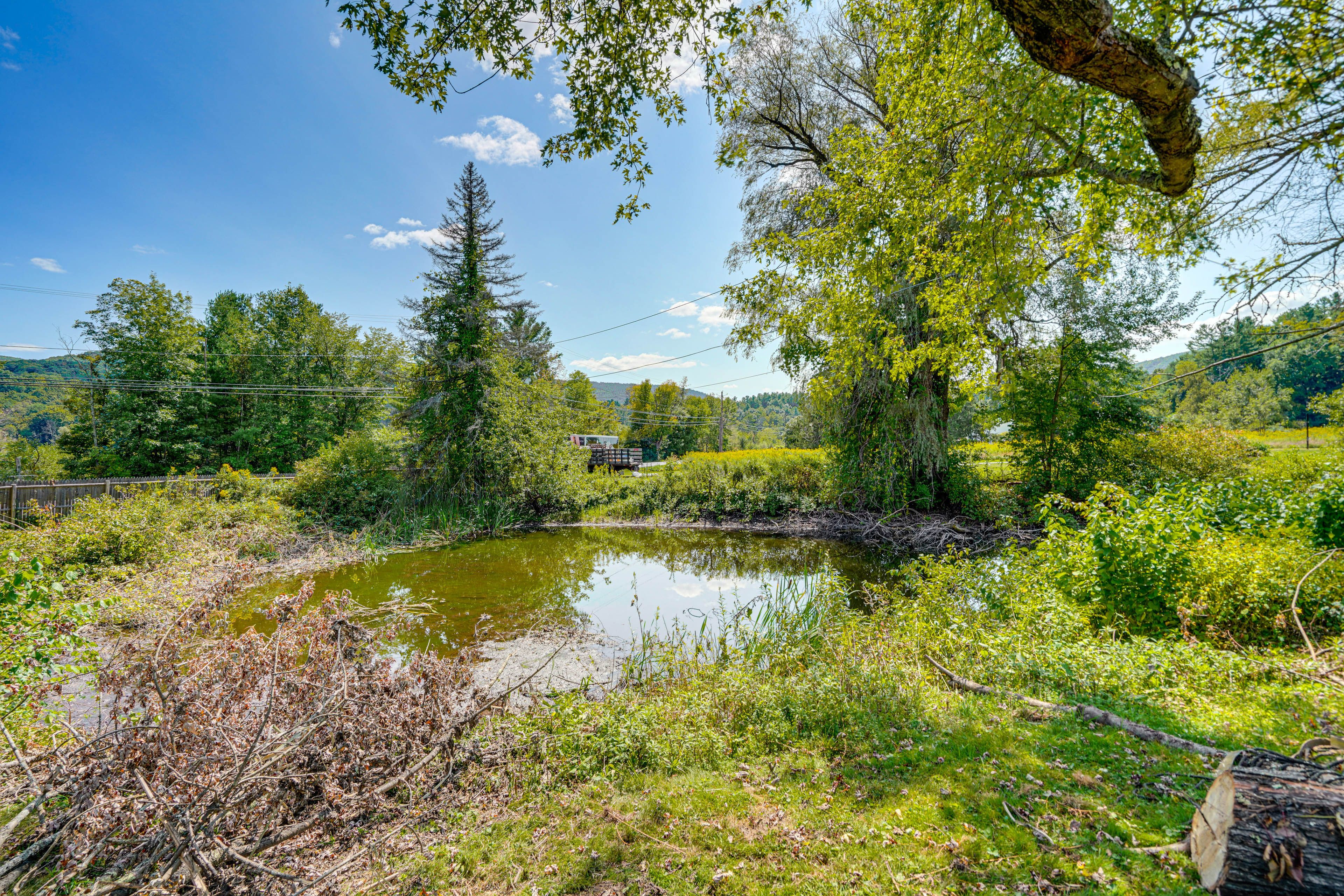 Pond On-Site