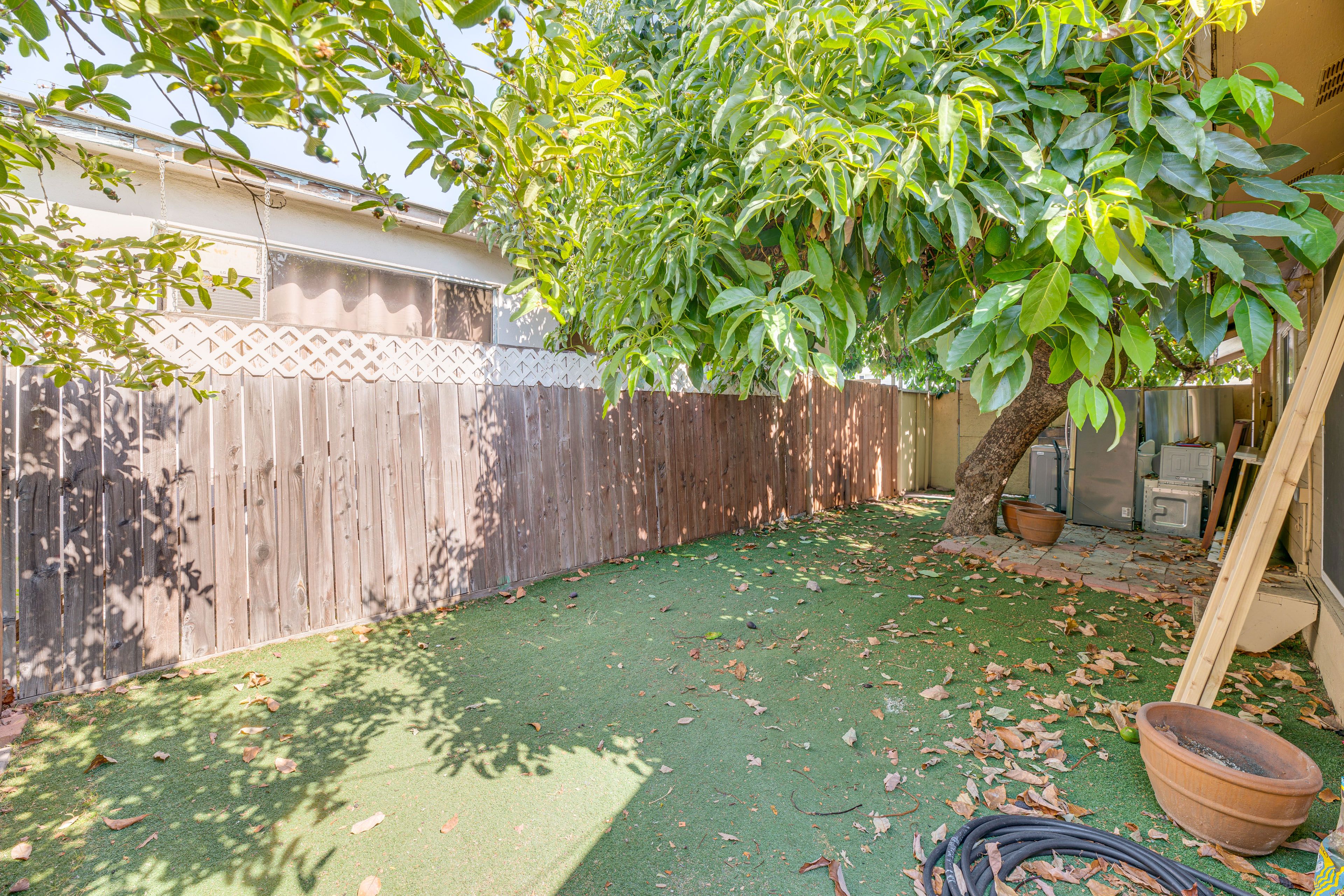 Fenced Backyard