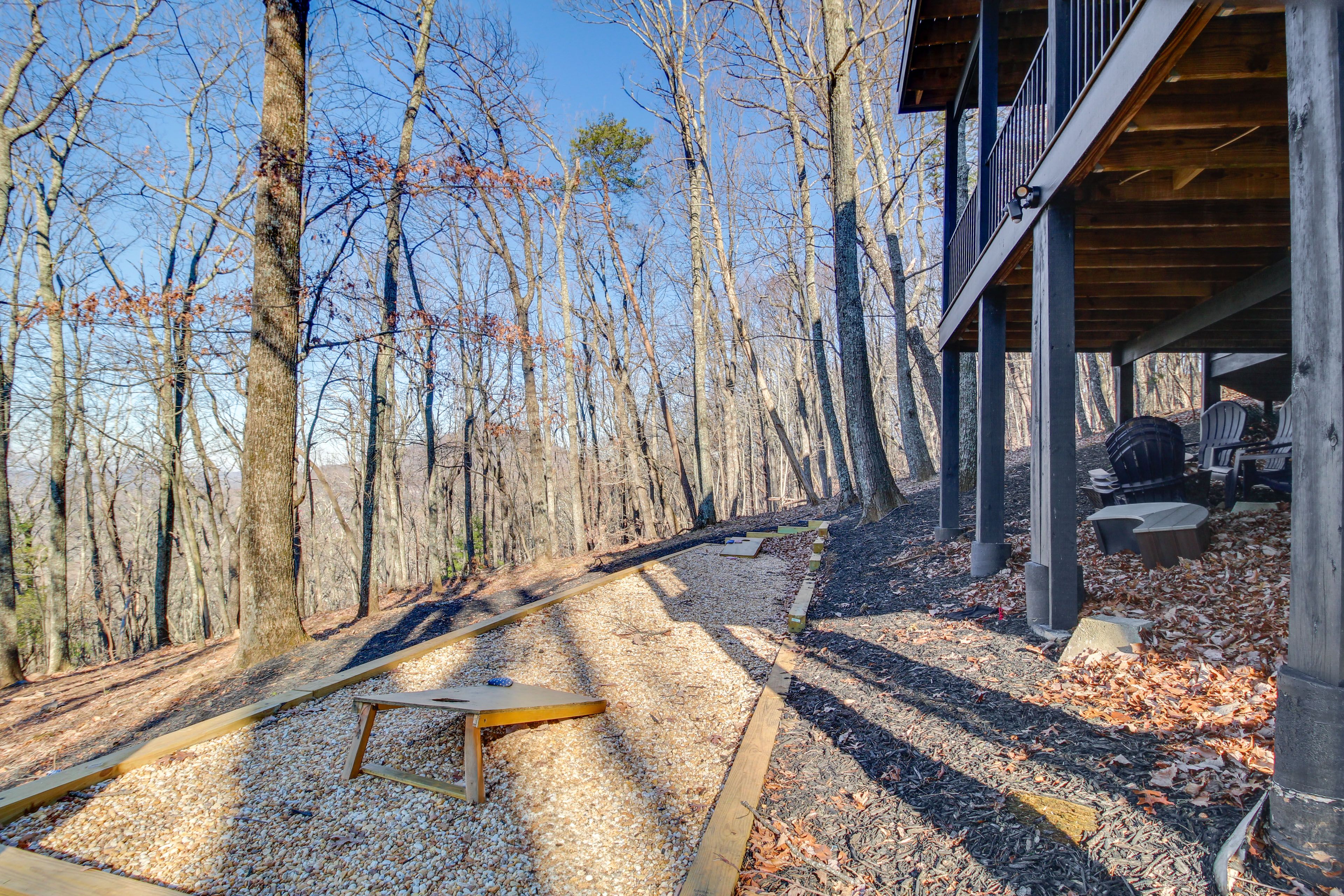Forested Surroundings | Cornhole