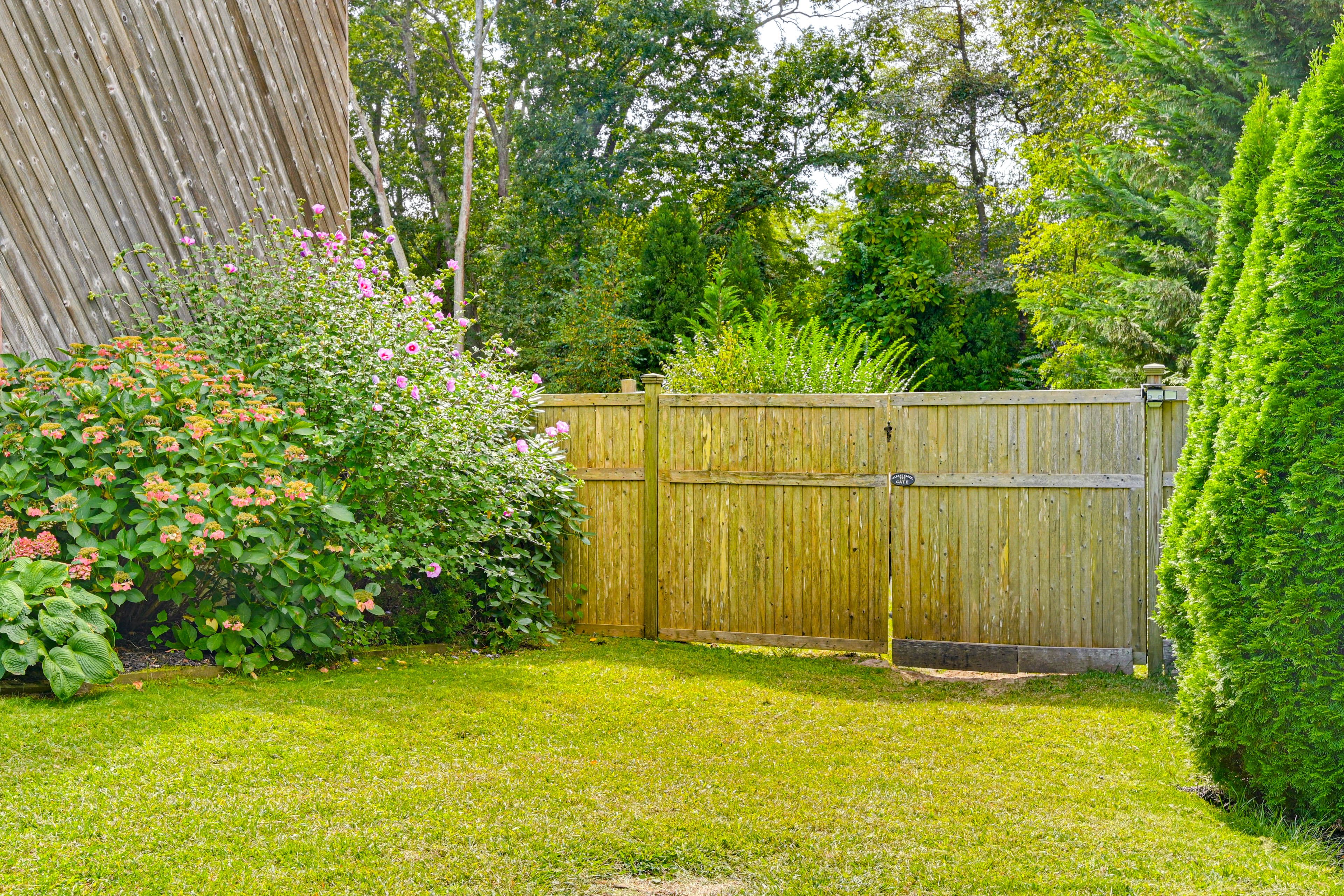 Backyard Gate