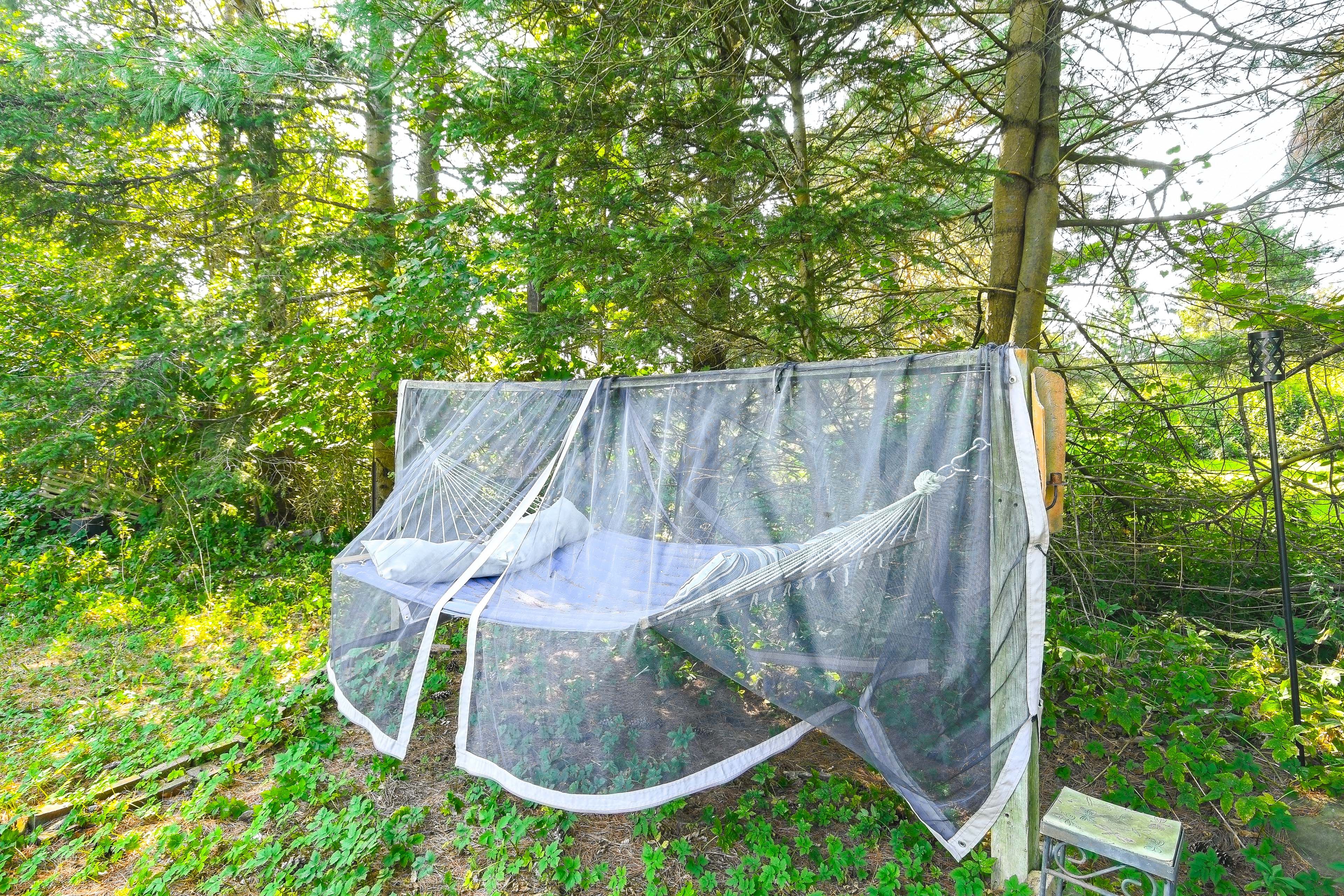 Hammock