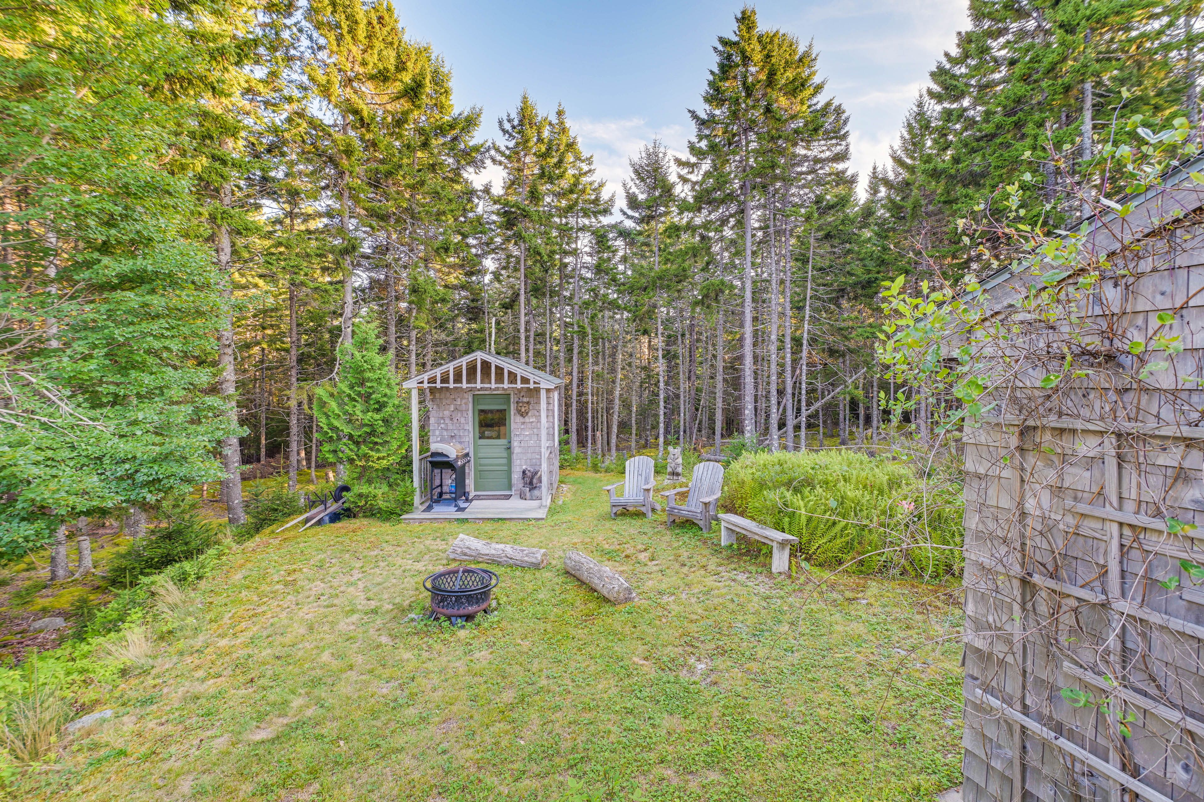 Wooded Yard | Fire Pit | Gas Grill