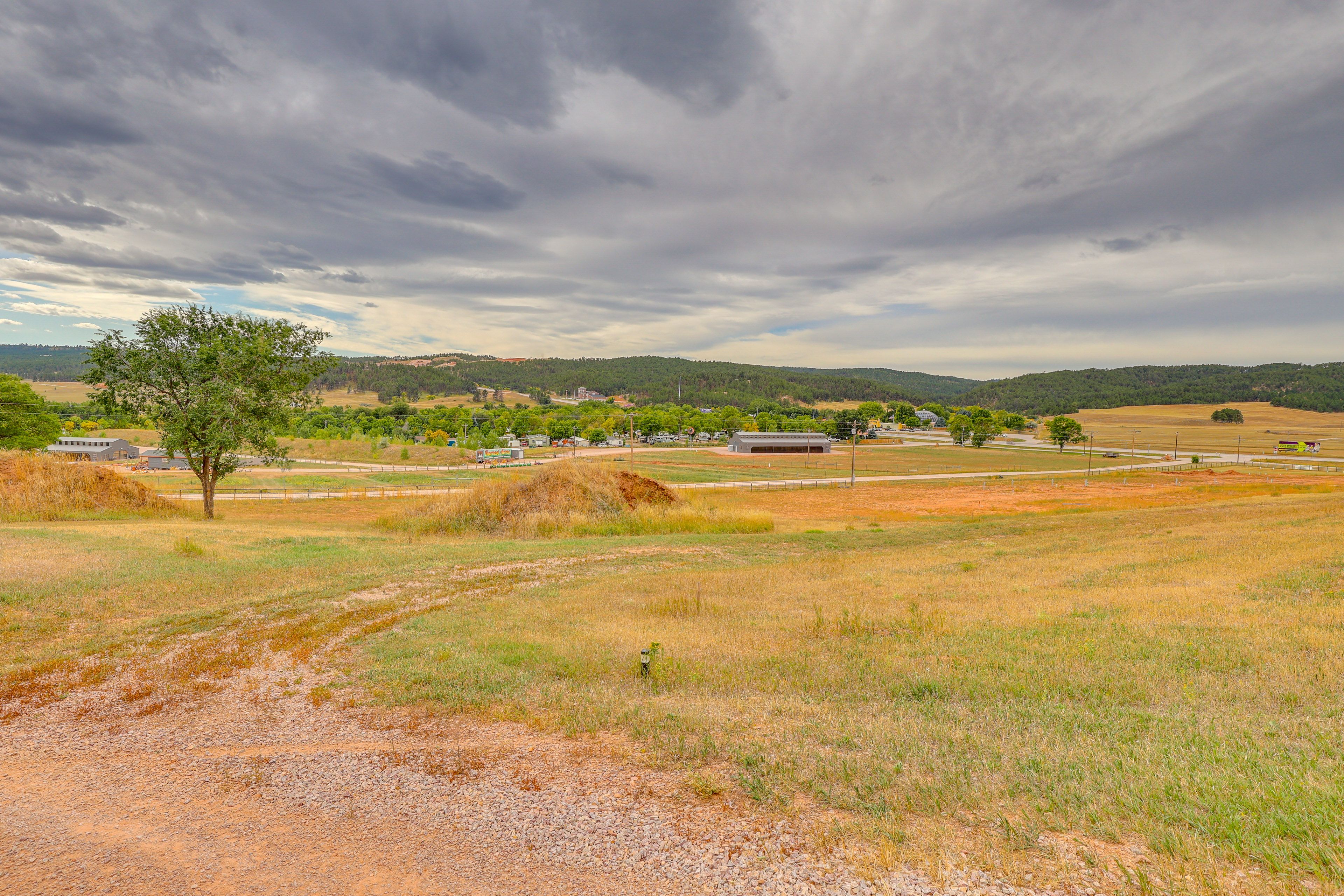 Black Hills Tiny Resort Views