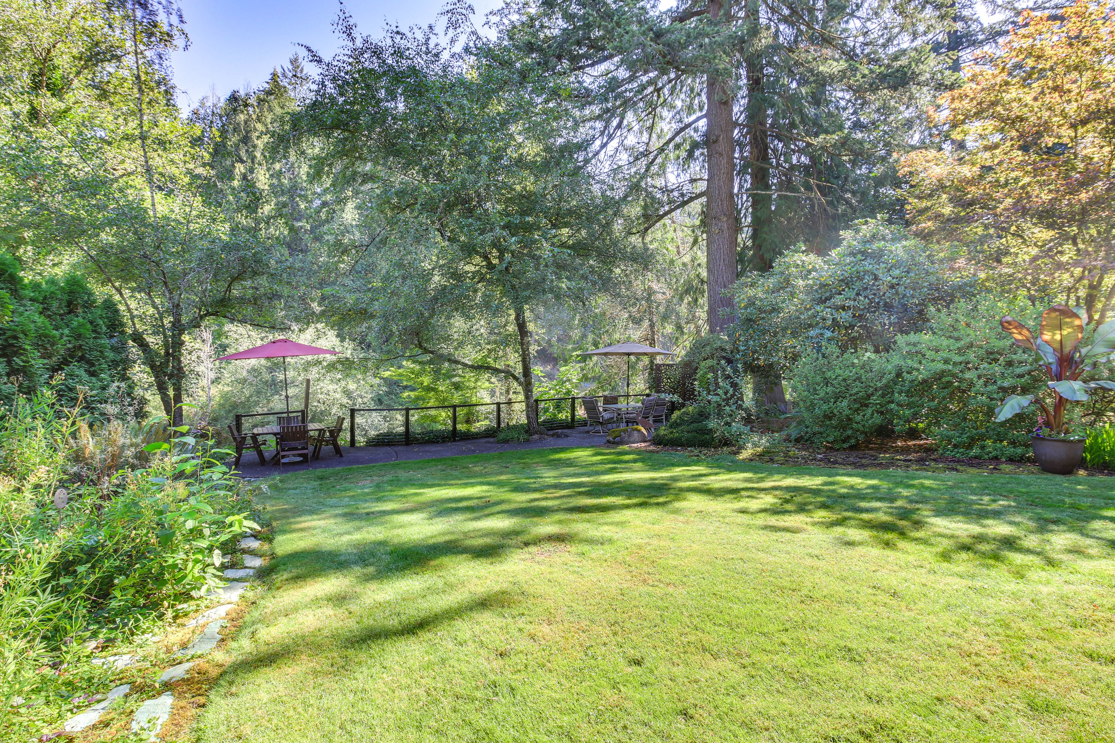 Wooded Yard