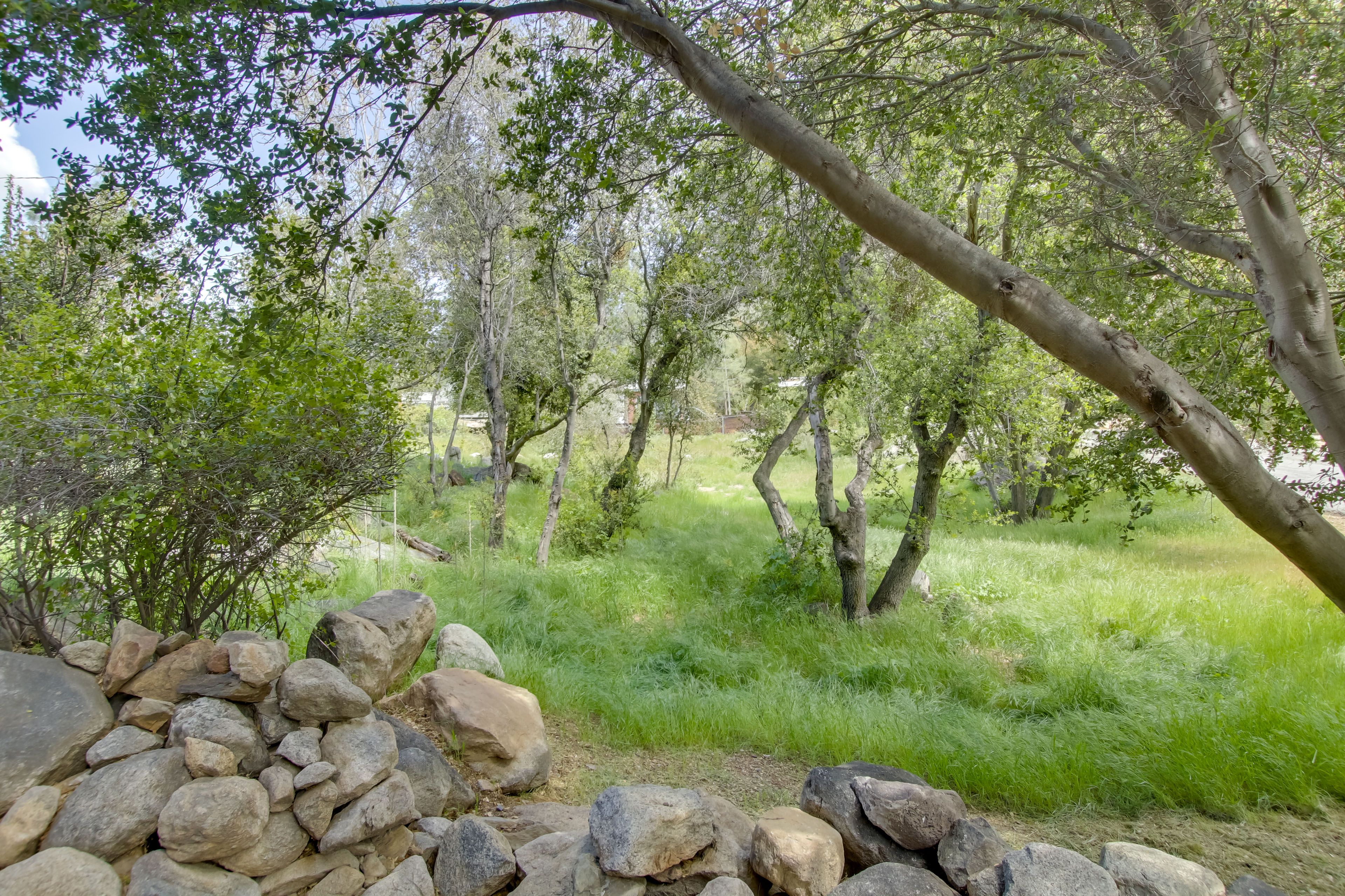 Surrounding Area