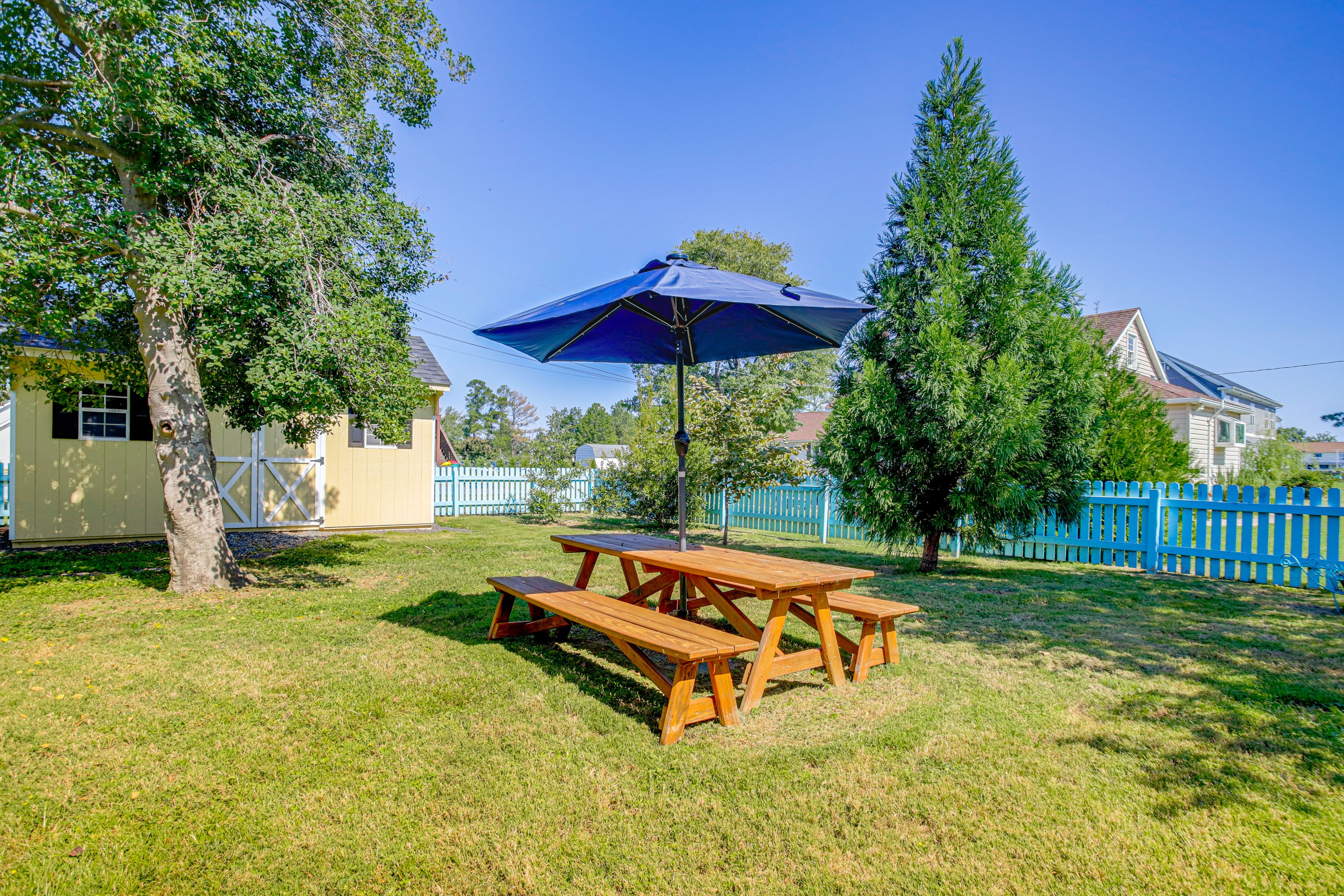 Backyard