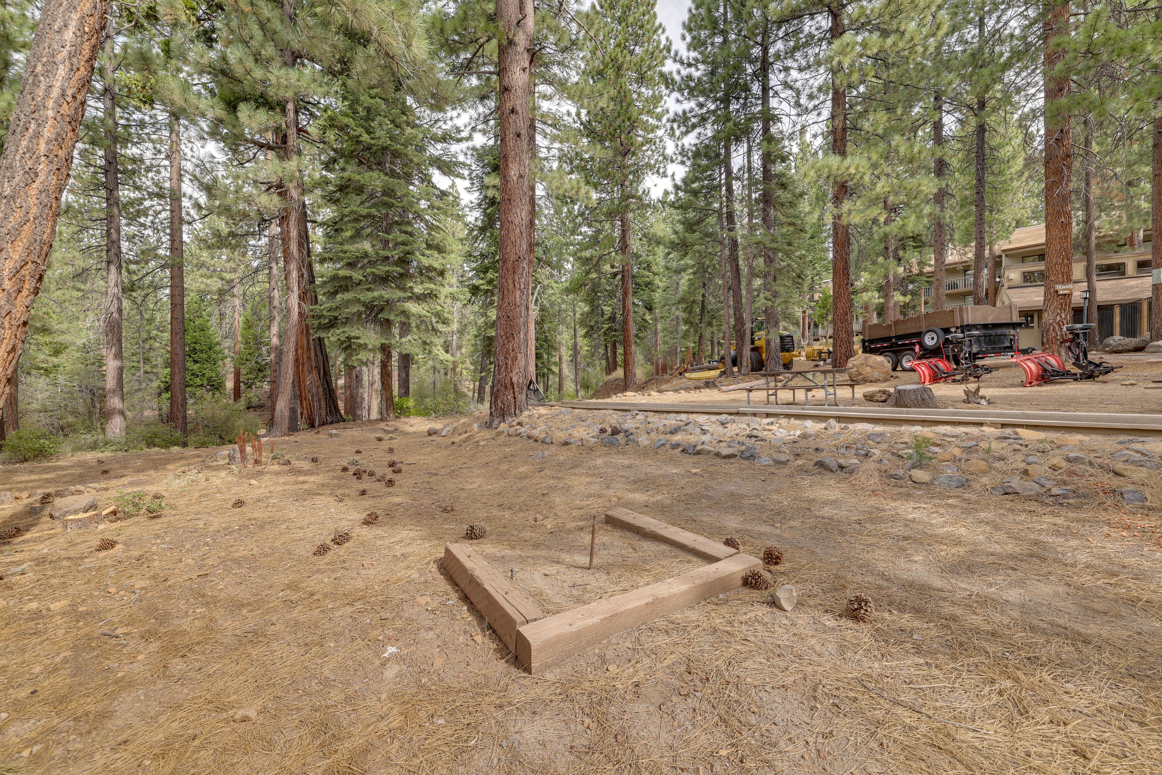 Image 46