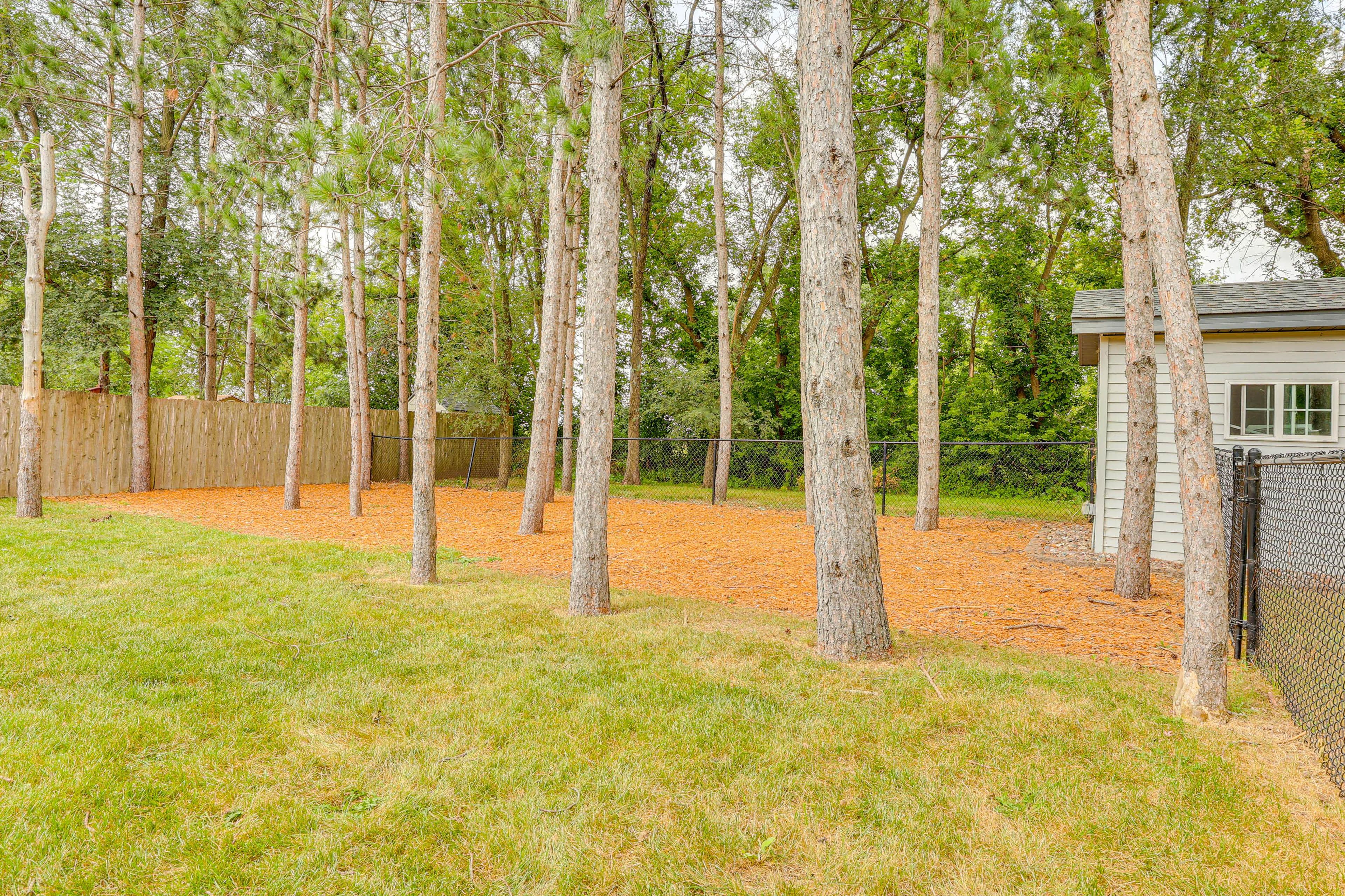 Fenced-In Bckyard