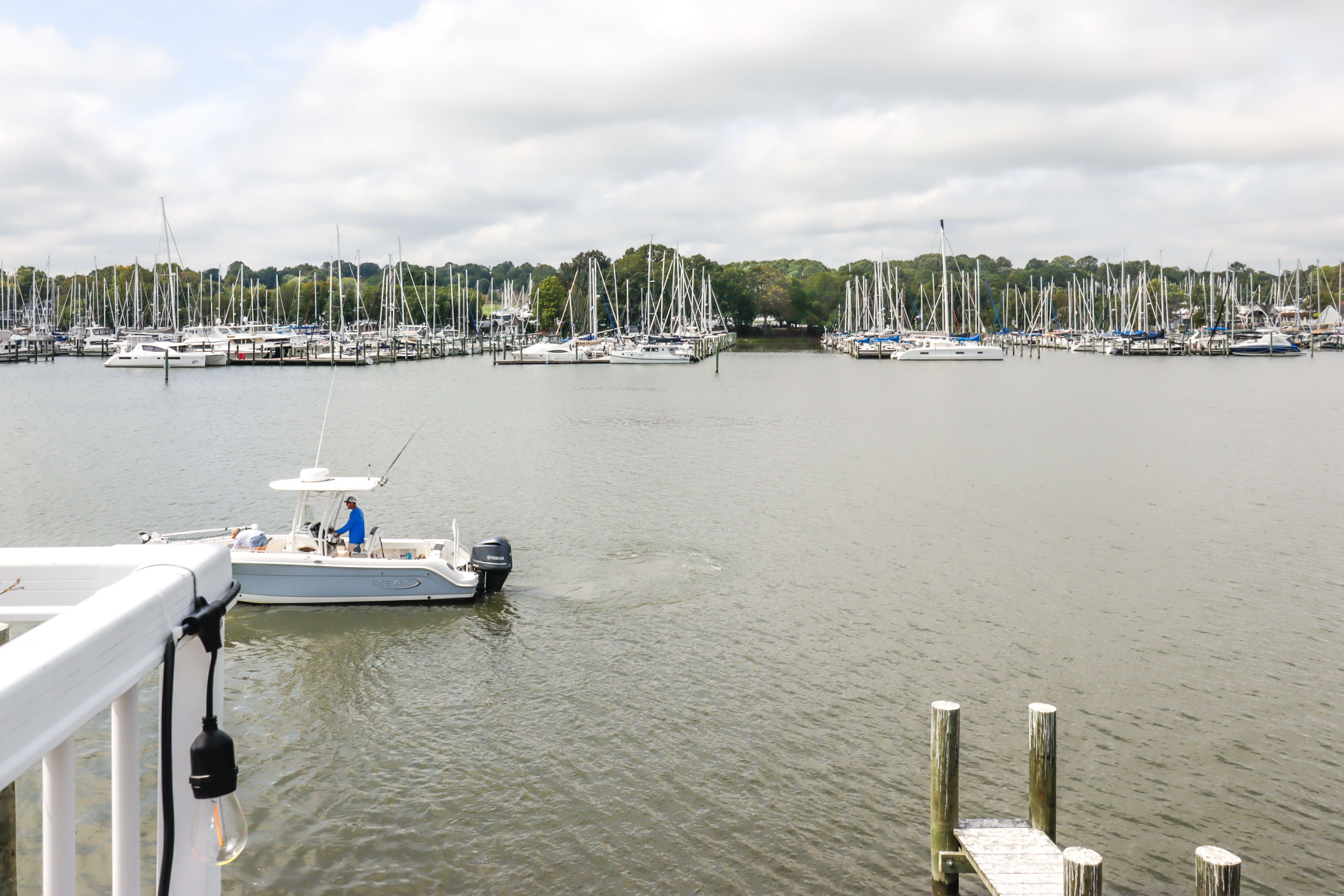 Water View