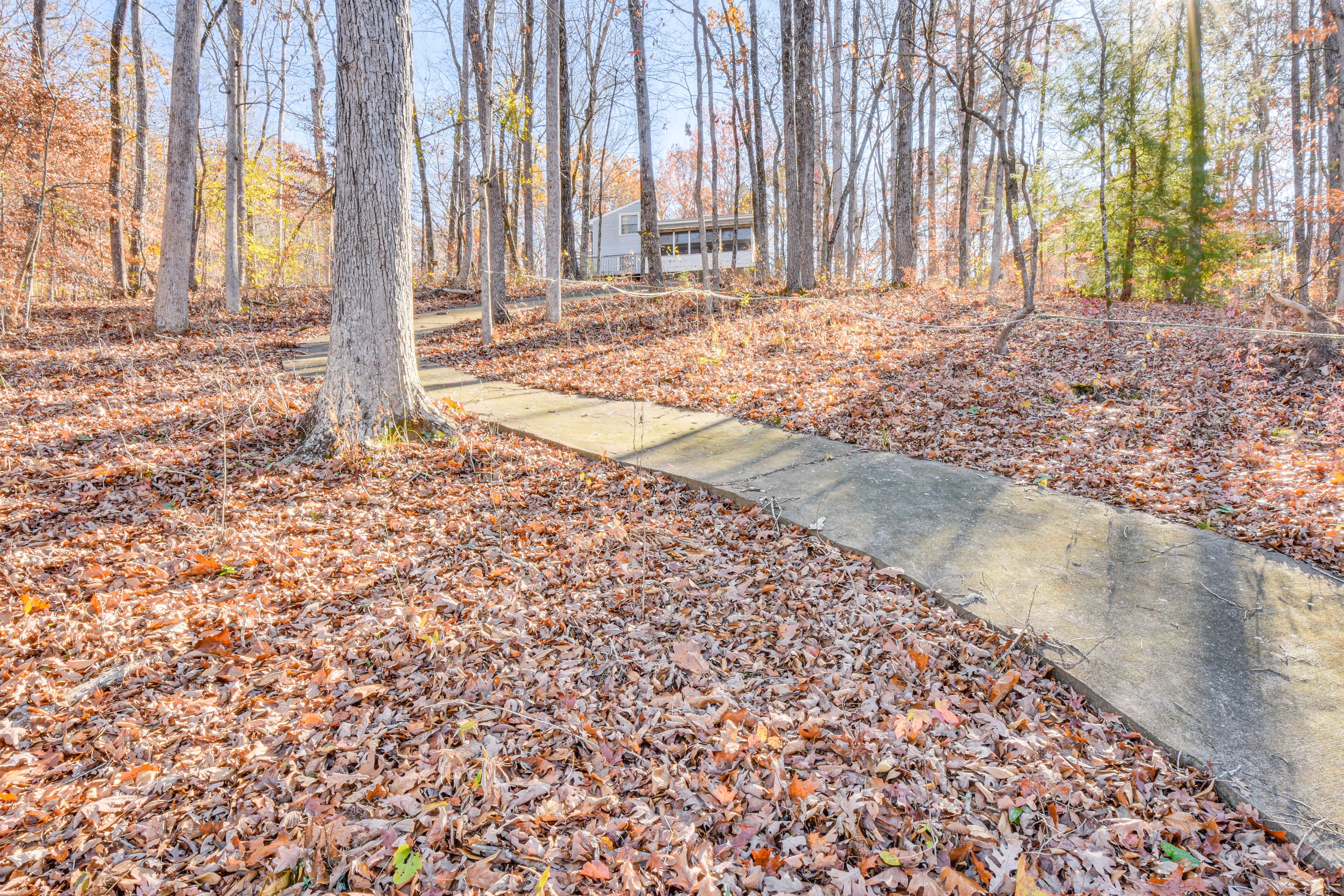 Walkway to Dock