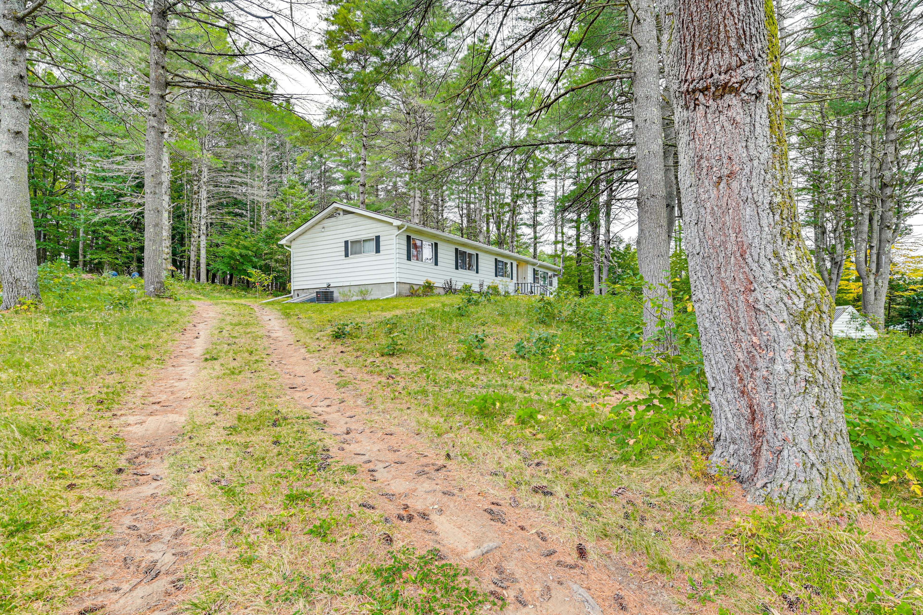 Parking | Unpaved Driveway (4 Vehicles)