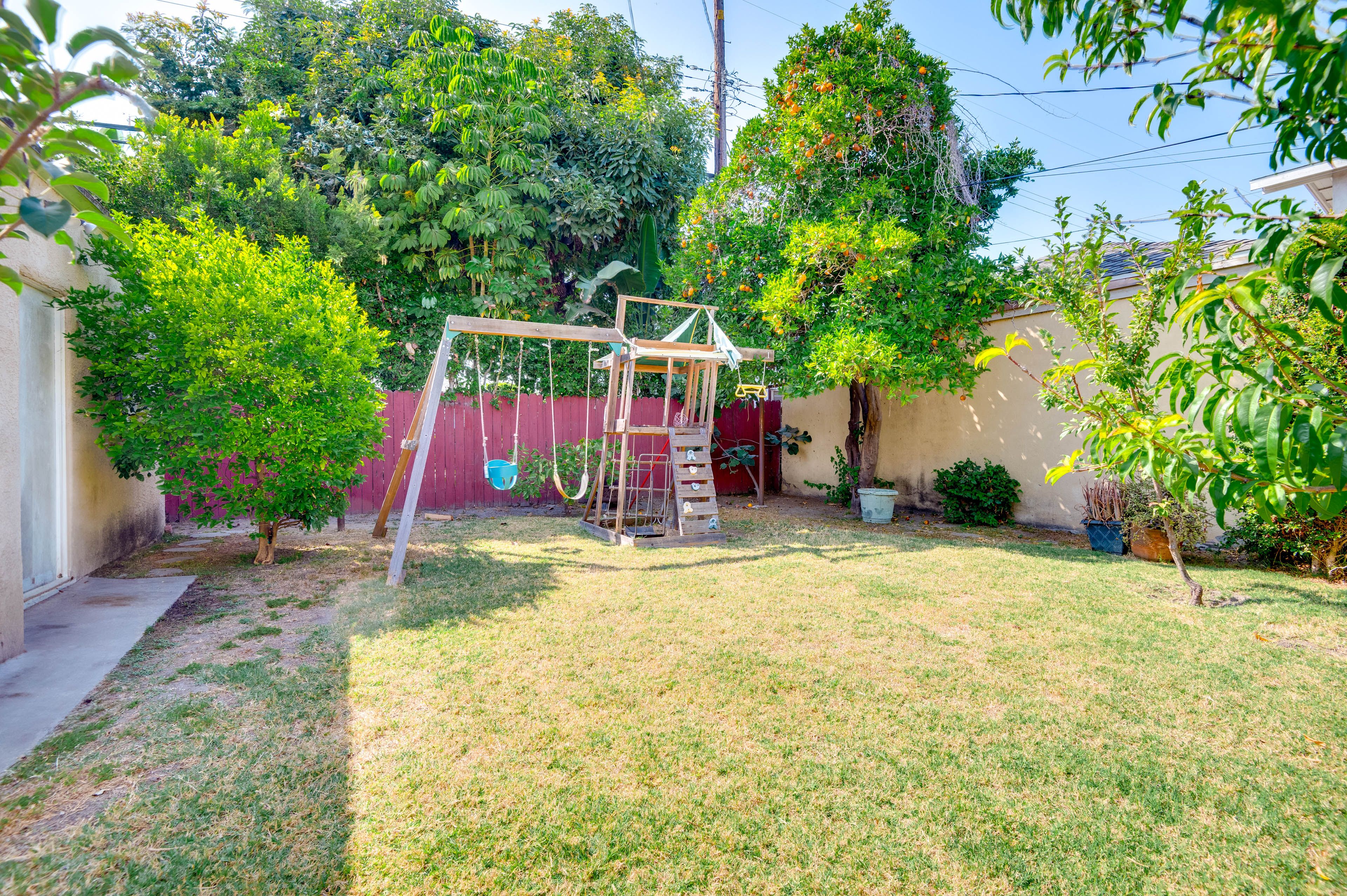 Backyard | Apple & Orange Trees