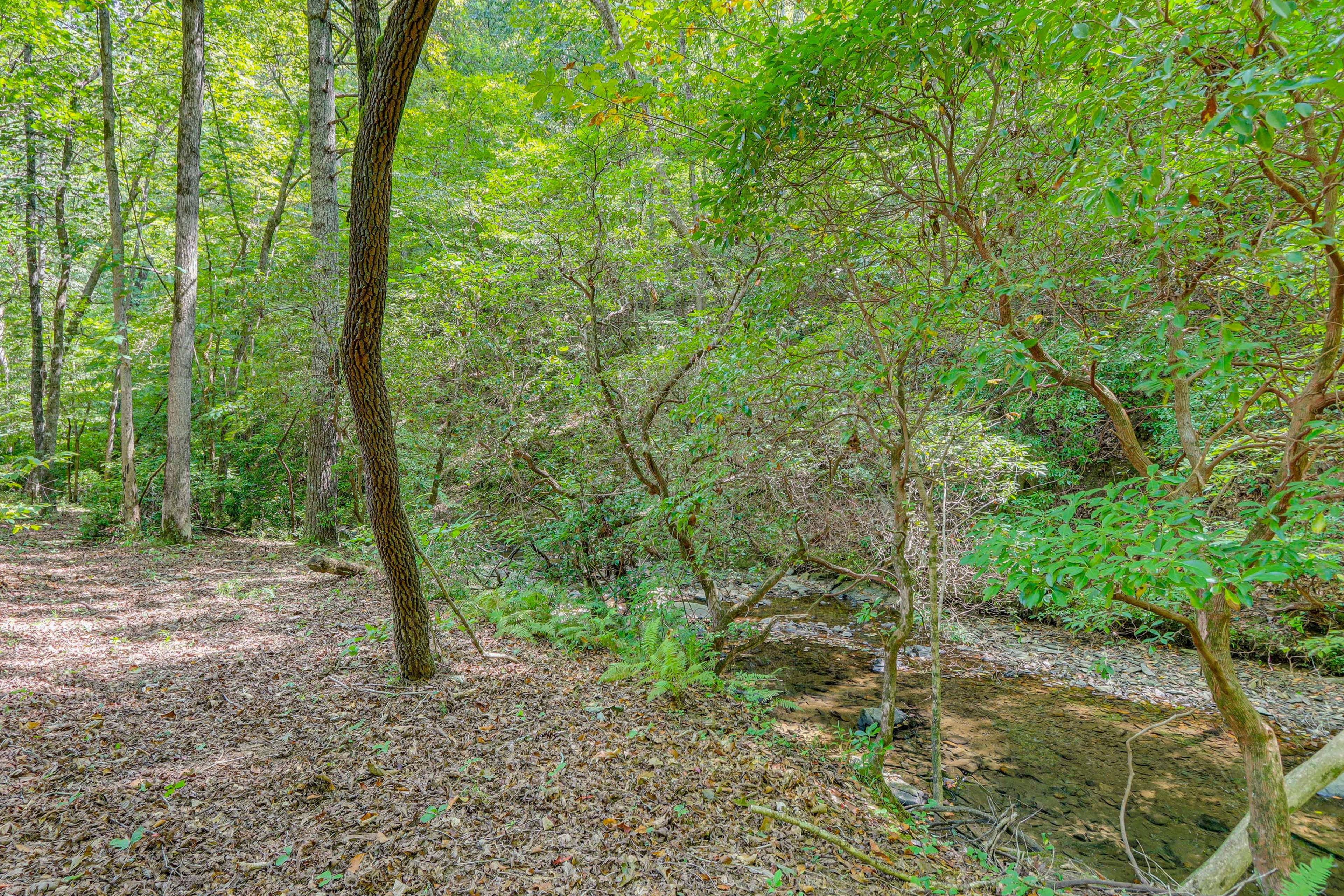On-Site Creek