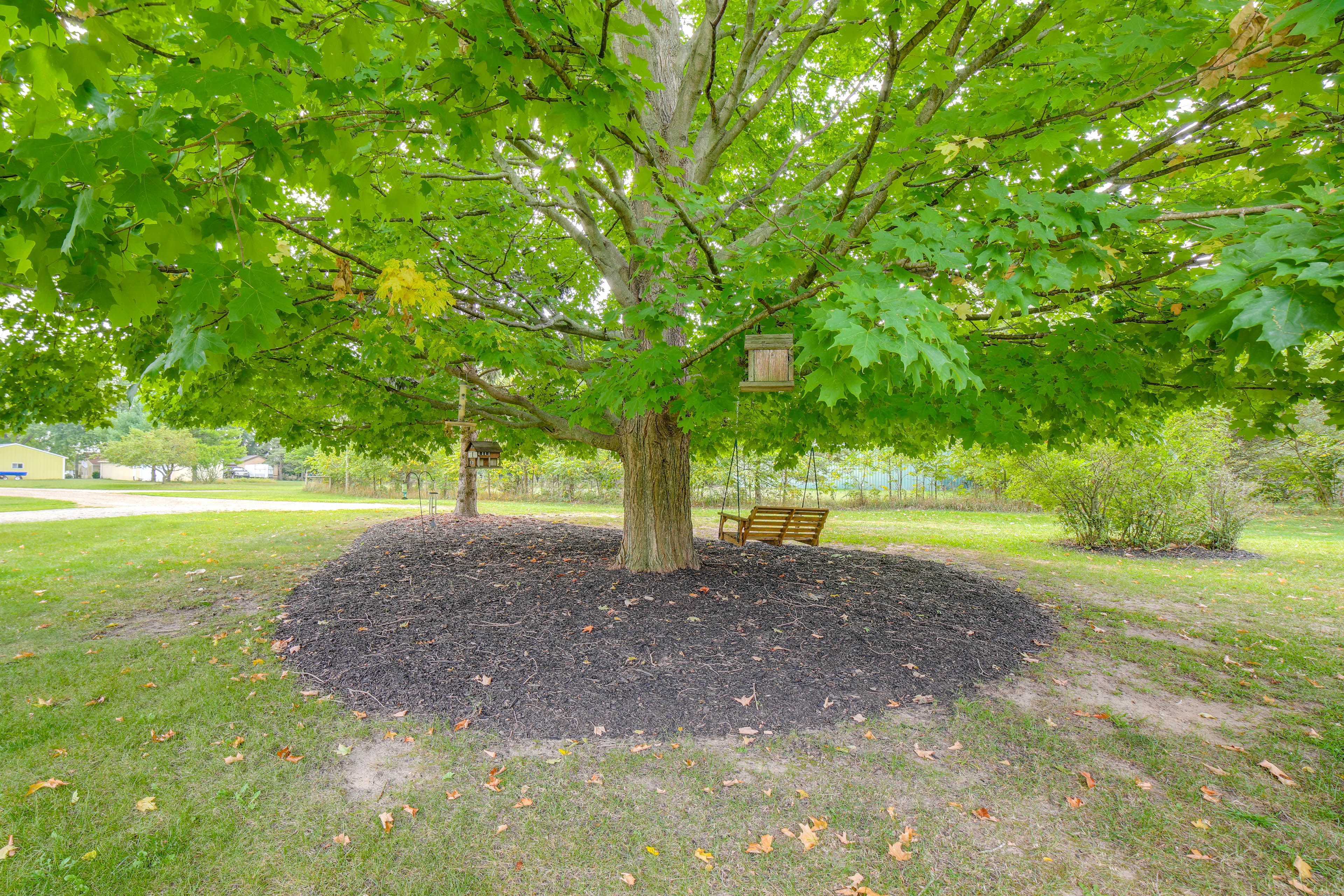 Image 22
