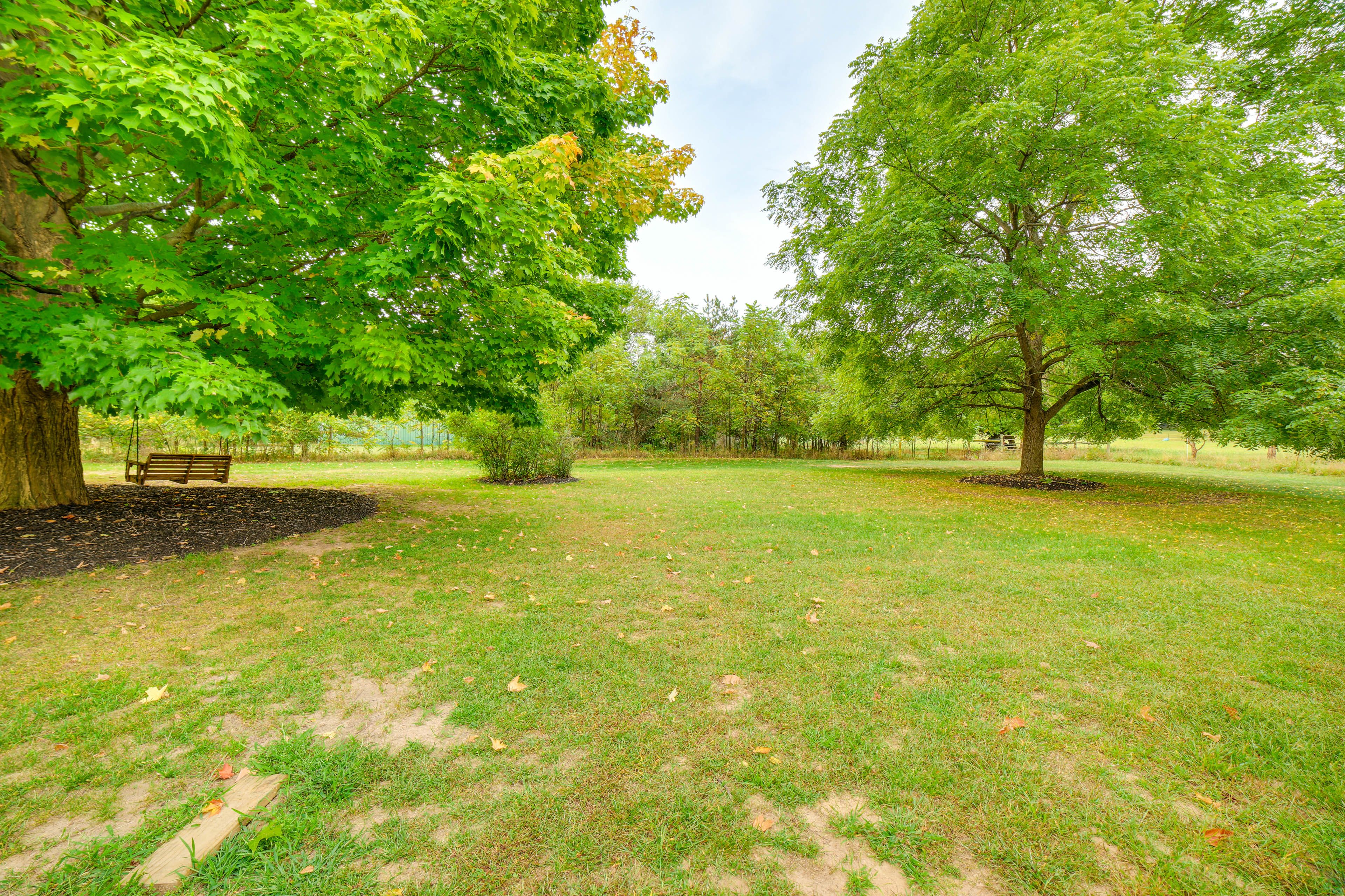 Shared Yard