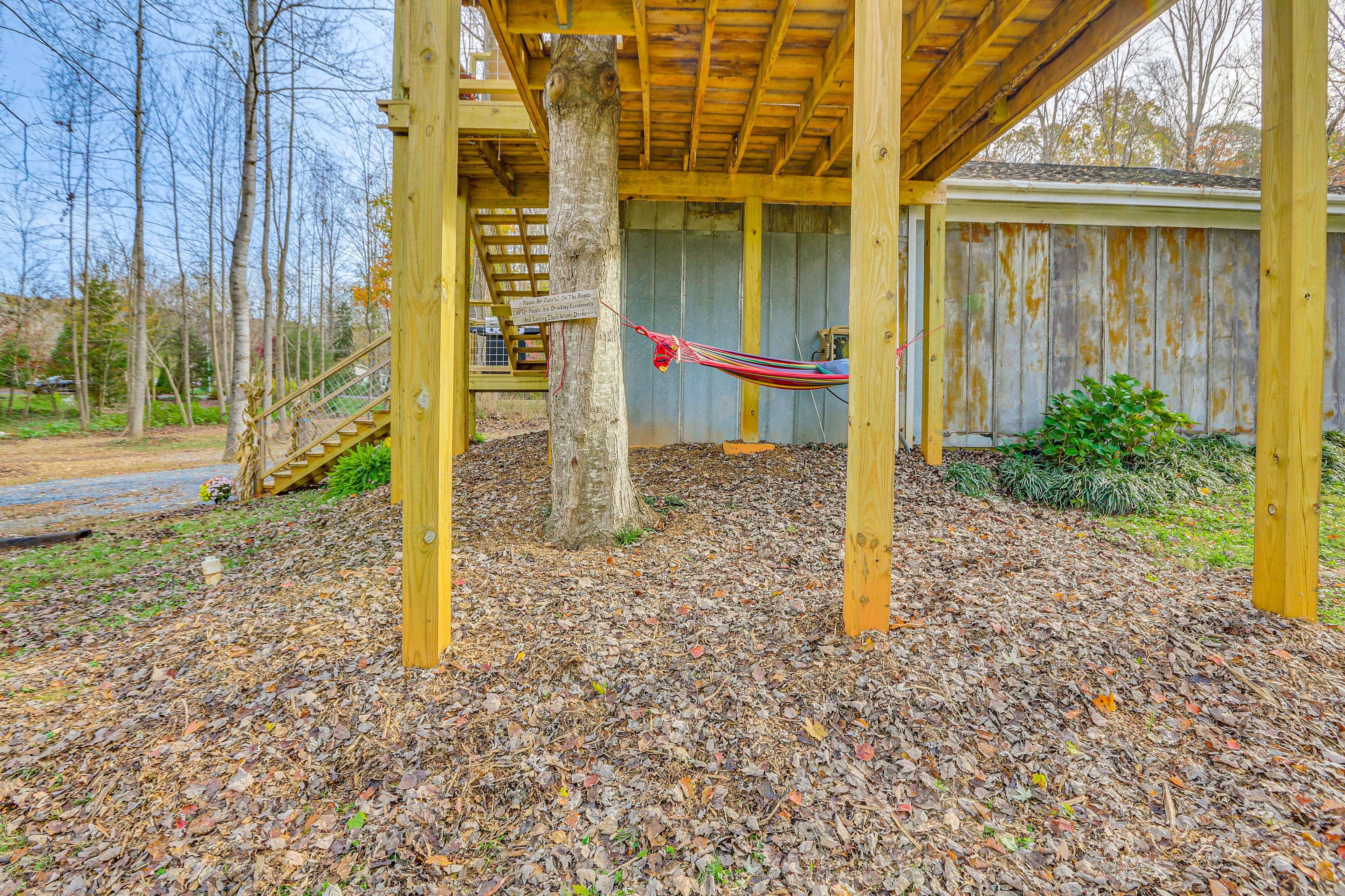 Studio Exterior | Hammock