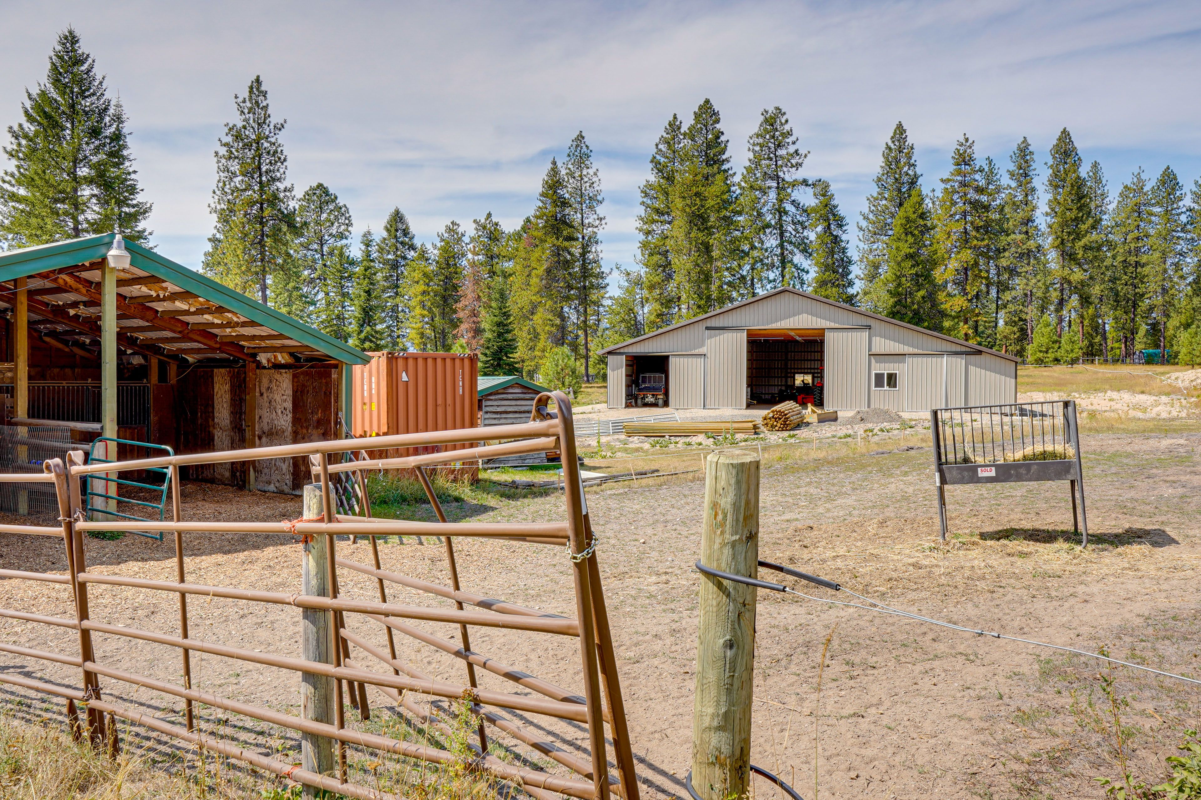 On-Site Horses