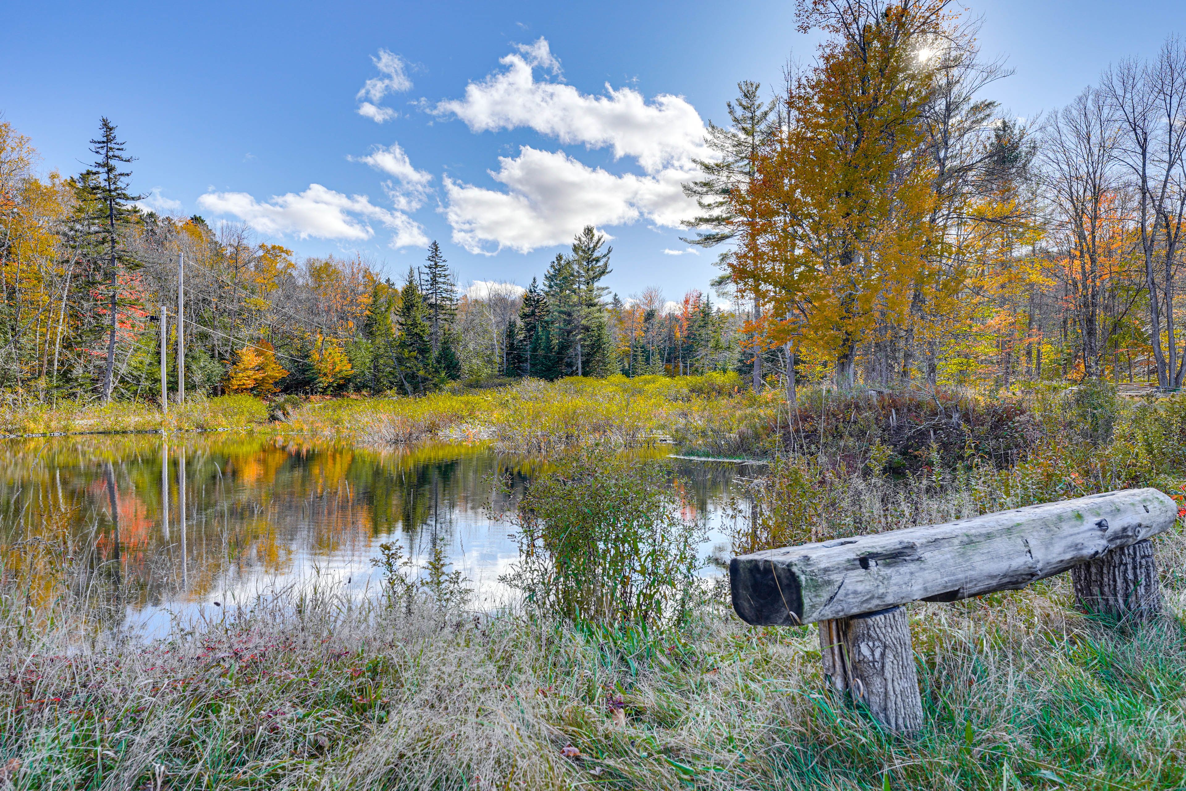 On-Site Pond