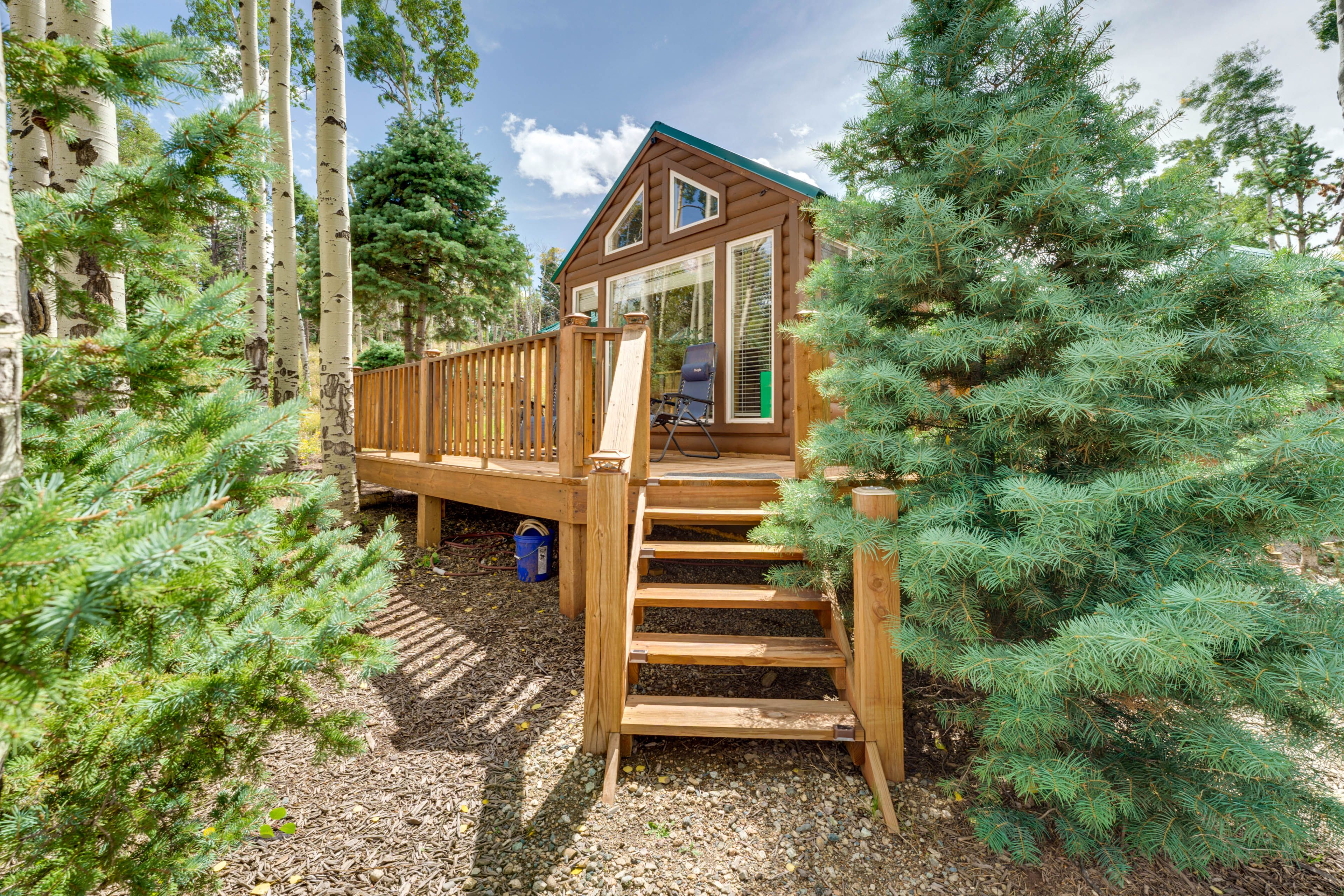 Cabin Exterior | Stairs Required