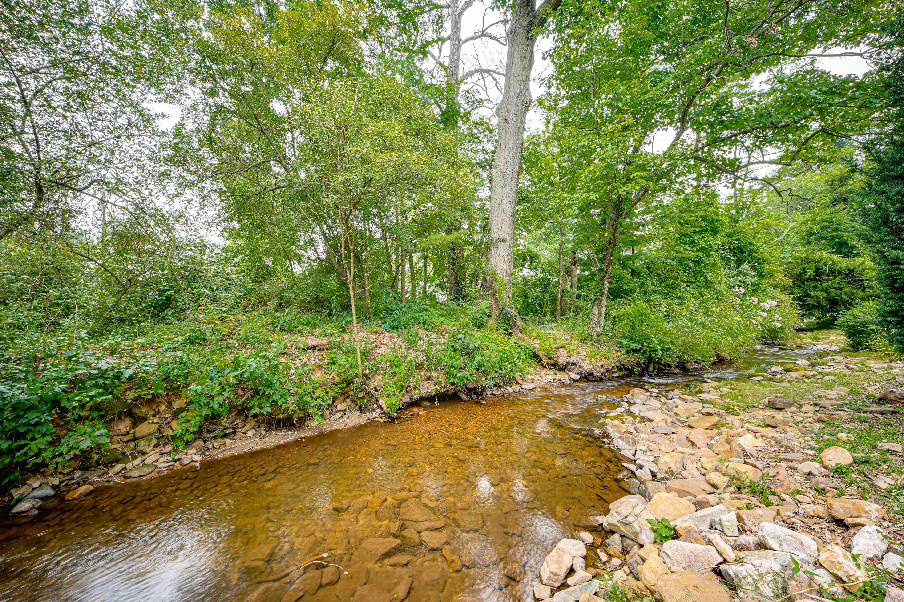 On-Site Creek | Spacious Yard