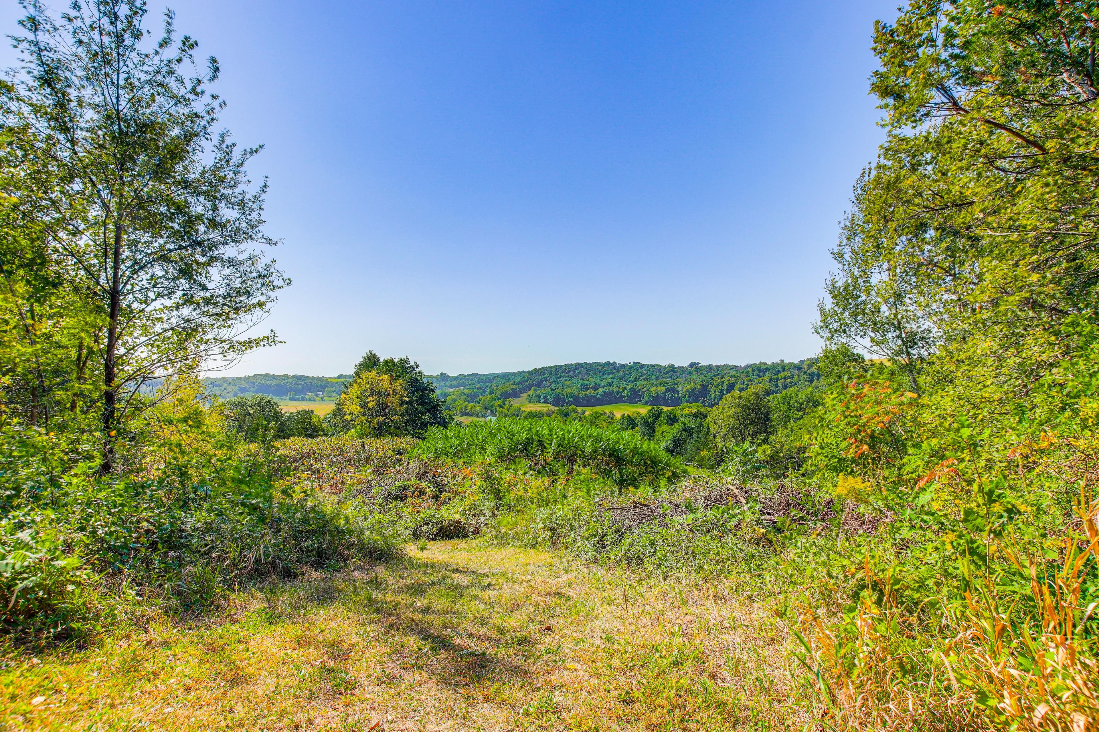 Surrounding Views