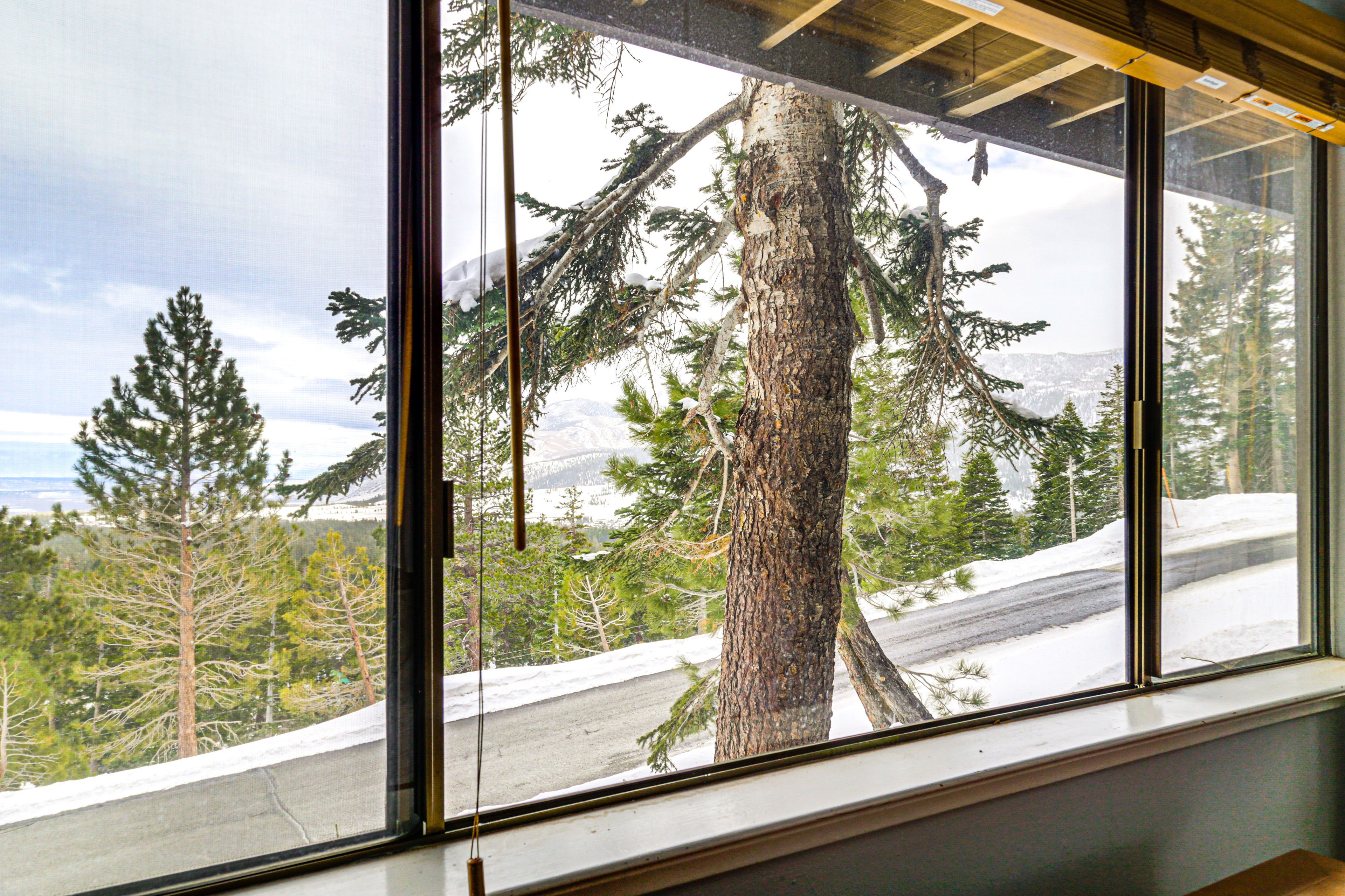 Window Views