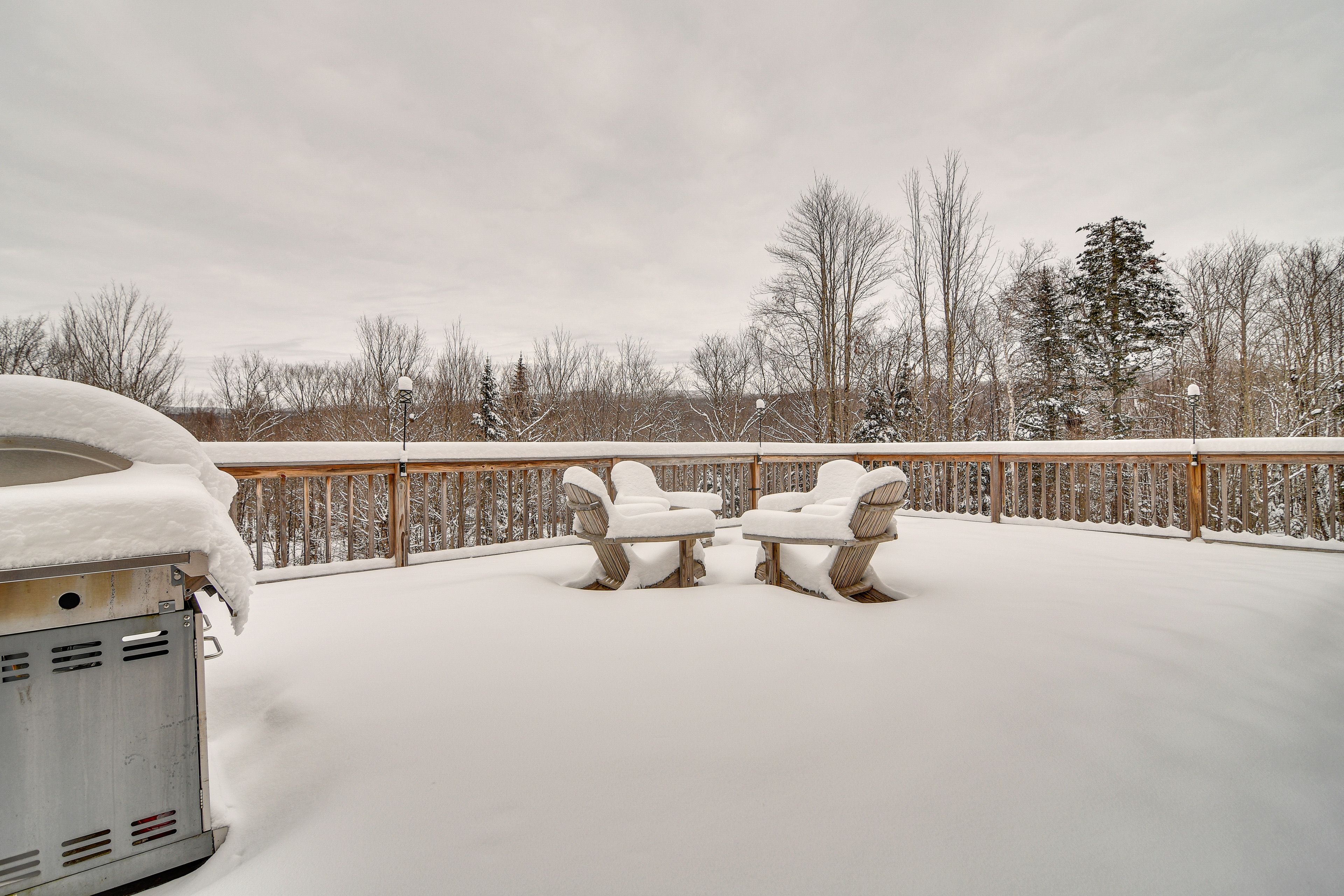 Deck | Gas Grill